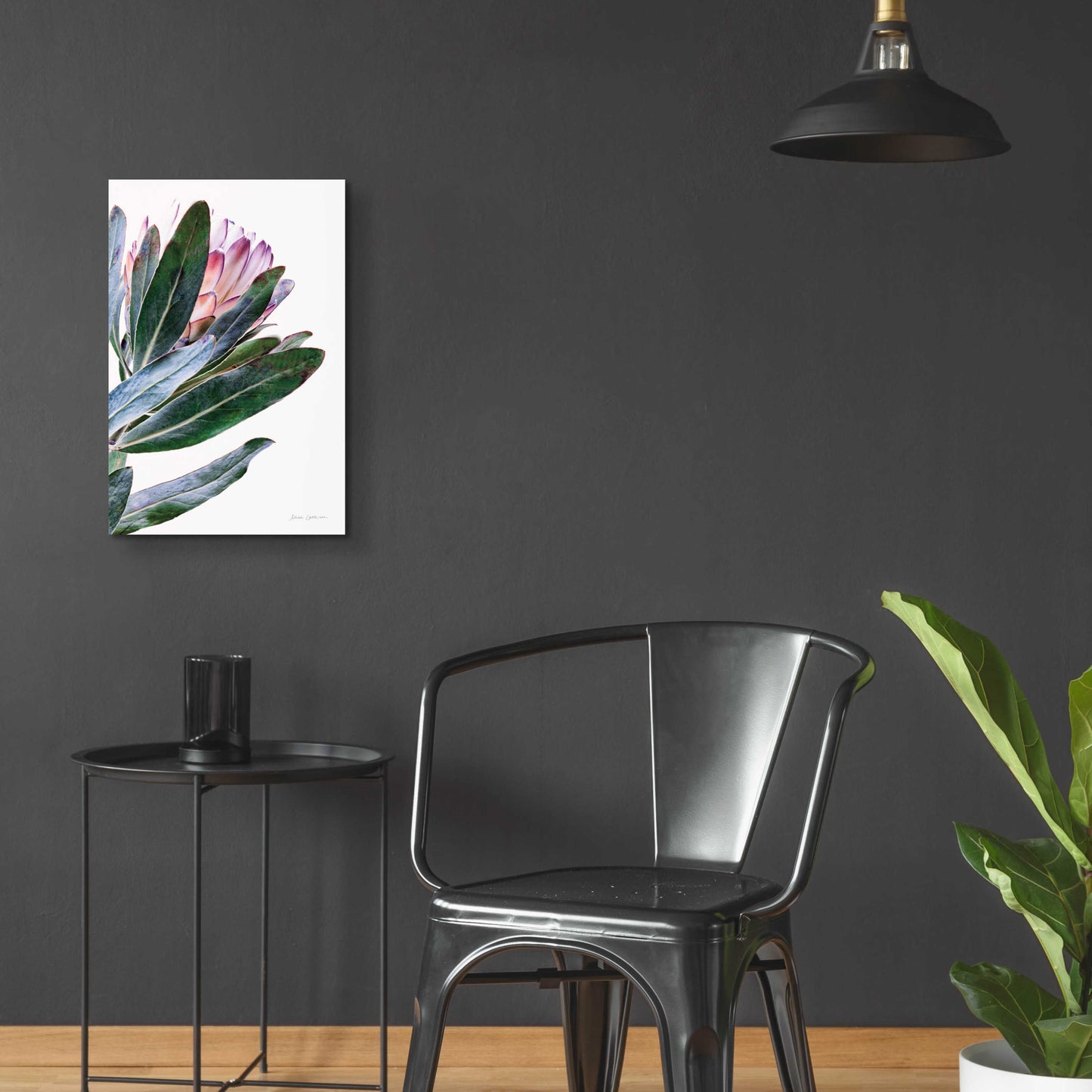 Epic Art 'Protea in Leaf' by Elise Catterall, Acrylic Glass Wall Art,16x24