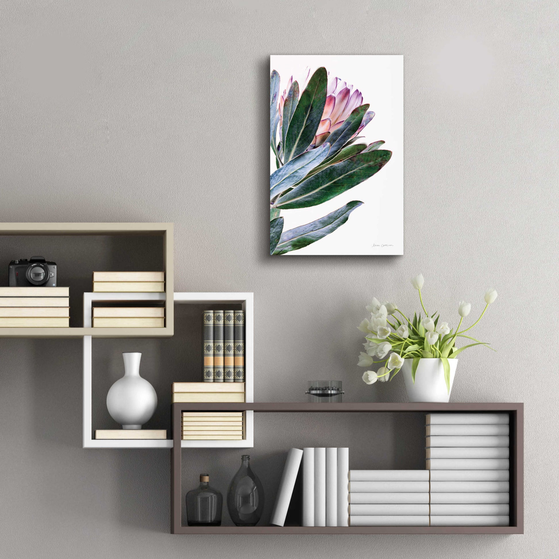 Epic Art 'Protea in Leaf' by Elise Catterall, Acrylic Glass Wall Art,16x24