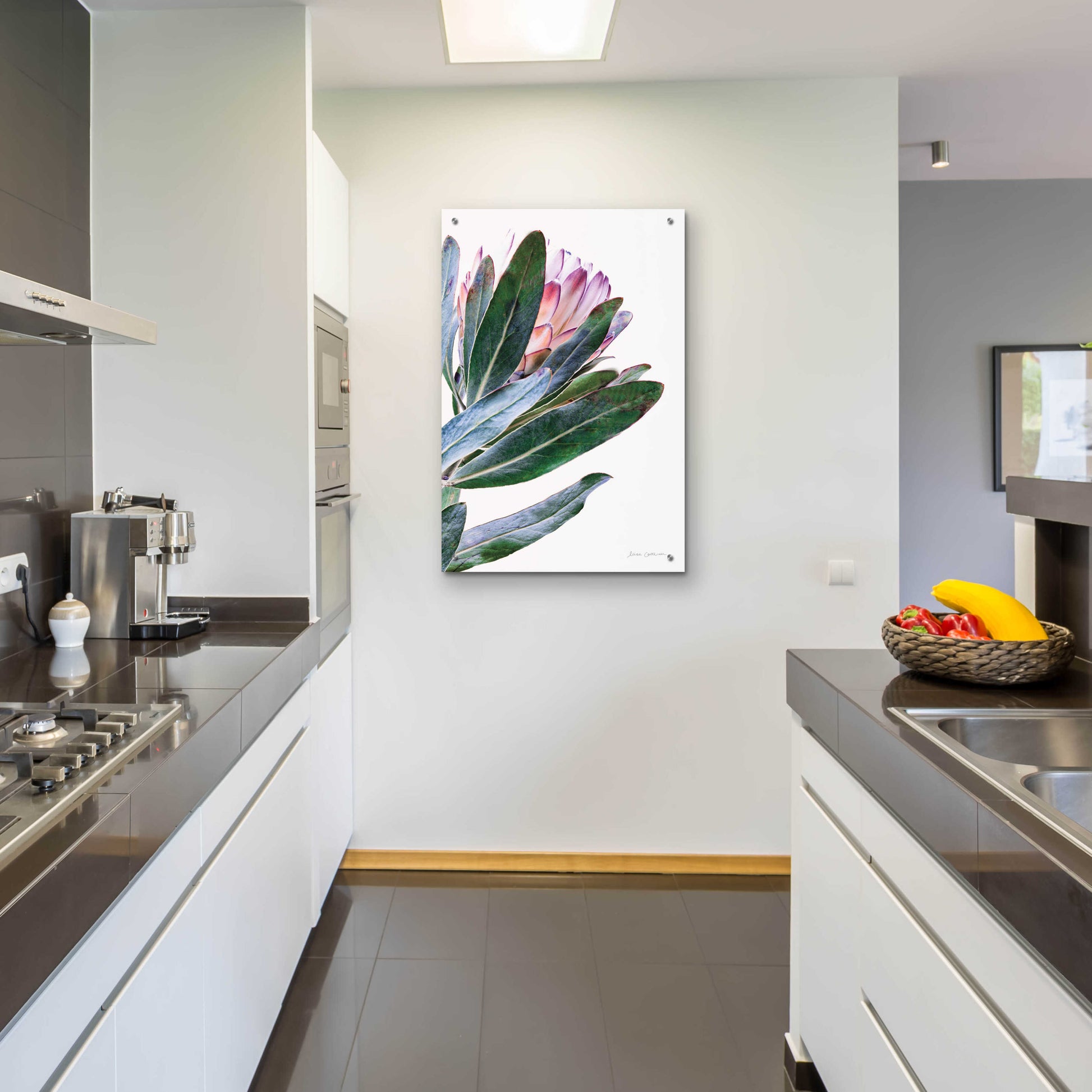 Epic Art 'Protea in Leaf' by Elise Catterall, Acrylic Glass Wall Art,24x36