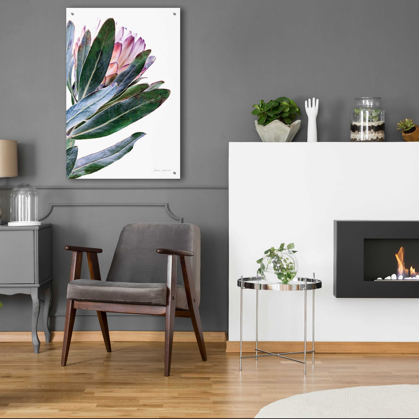 Epic Art 'Protea in Leaf' by Elise Catterall, Acrylic Glass Wall Art,24x36