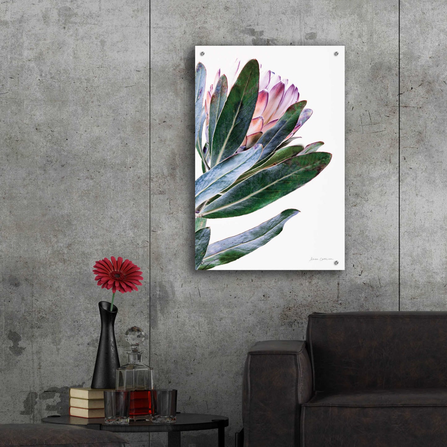 Epic Art 'Protea in Leaf' by Elise Catterall, Acrylic Glass Wall Art,24x36