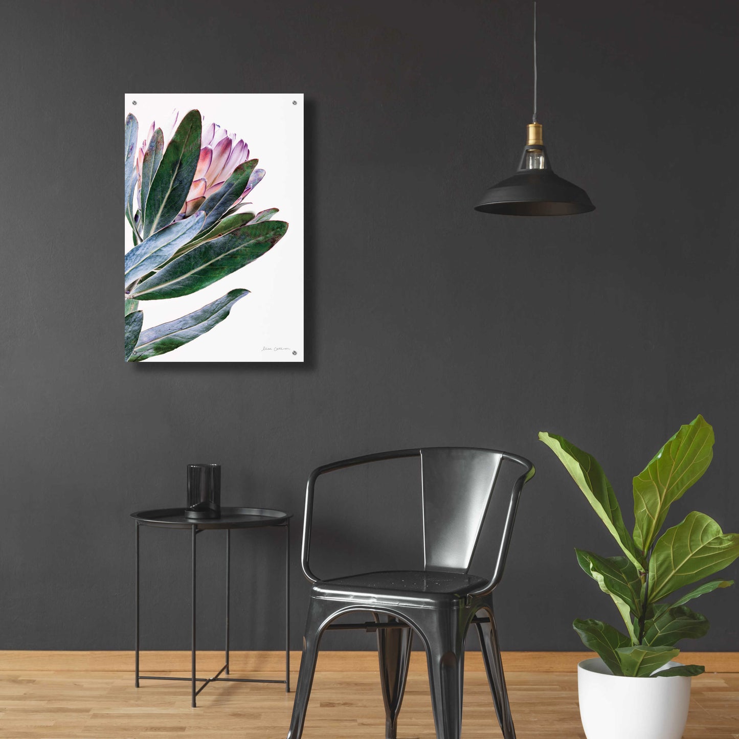 Epic Art 'Protea in Leaf' by Elise Catterall, Acrylic Glass Wall Art,24x36