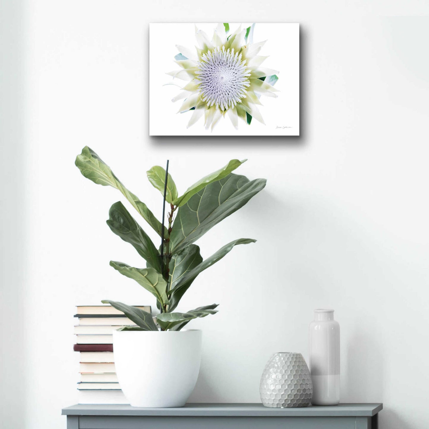 Epic Art 'Protea Center I' by Elise Catterall, Acrylic Glass Wall Art,16x12