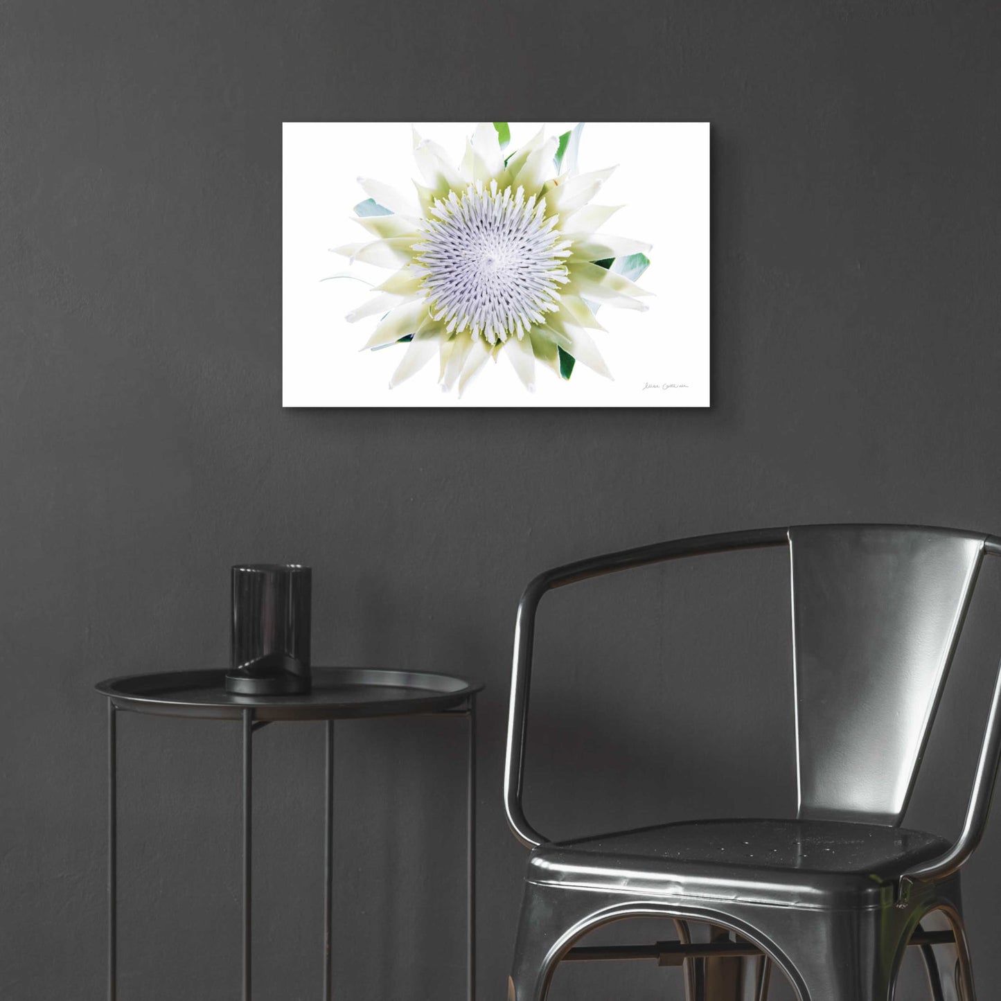 Epic Art 'Protea Center I' by Elise Catterall, Acrylic Glass Wall Art,24x16