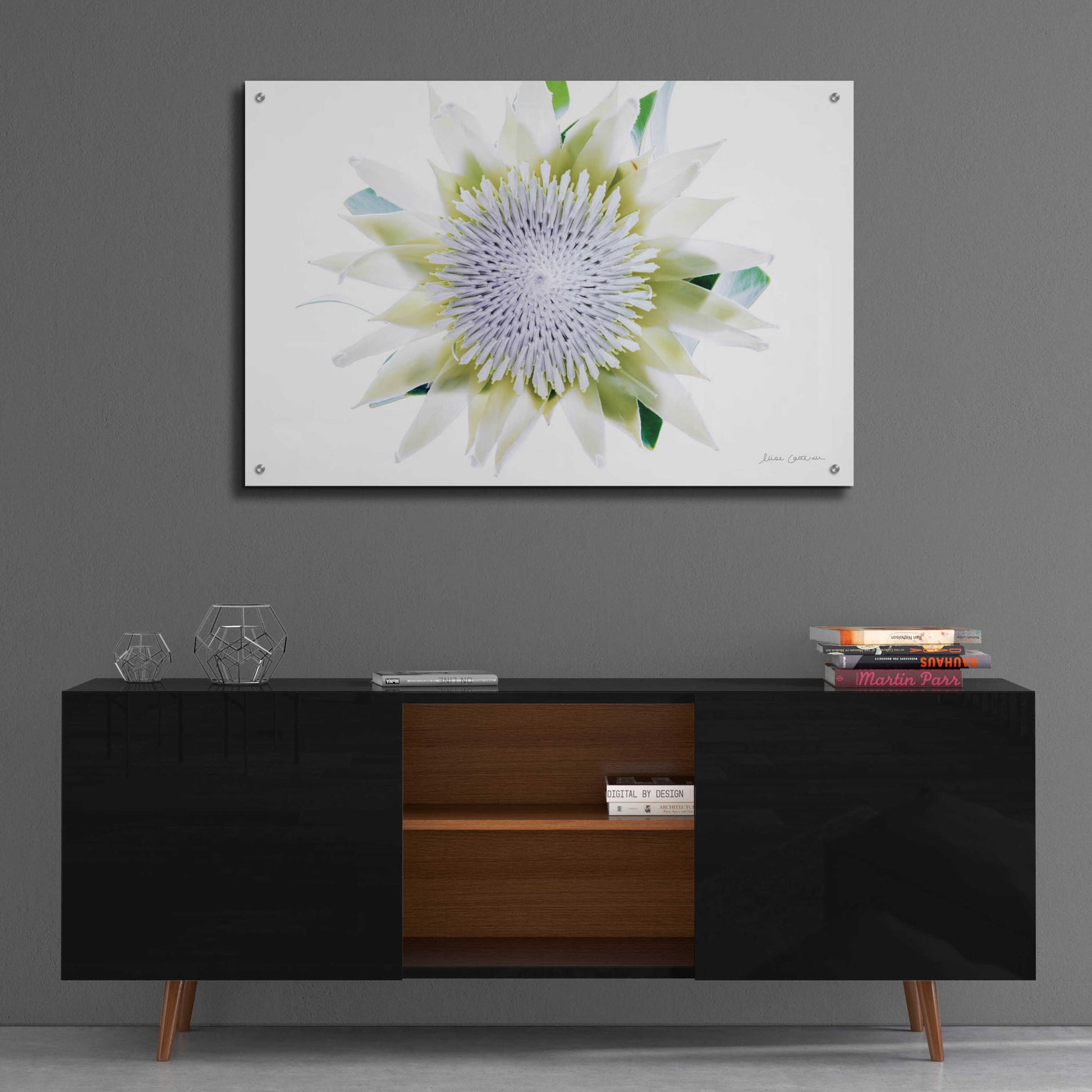 Epic Art 'Protea Center I' by Elise Catterall, Acrylic Glass Wall Art,36x24