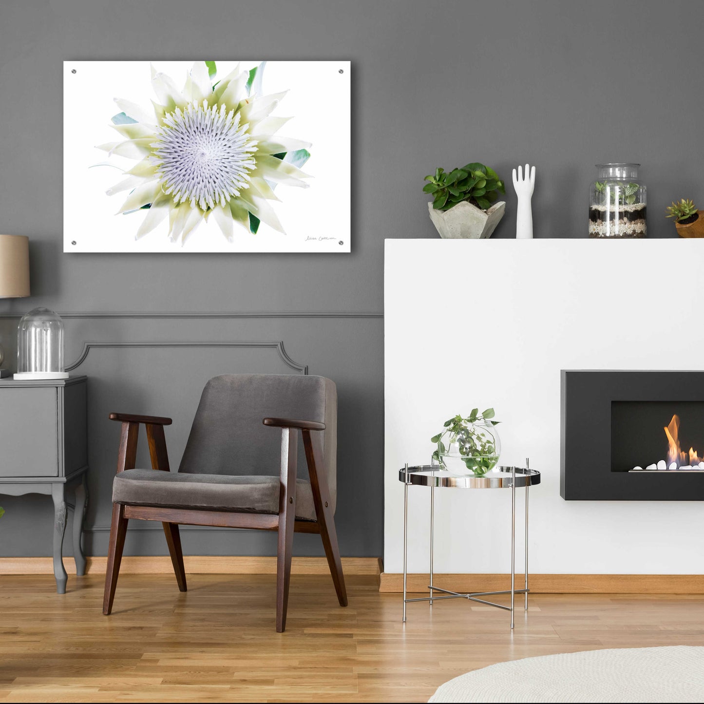 Epic Art 'Protea Center I' by Elise Catterall, Acrylic Glass Wall Art,36x24