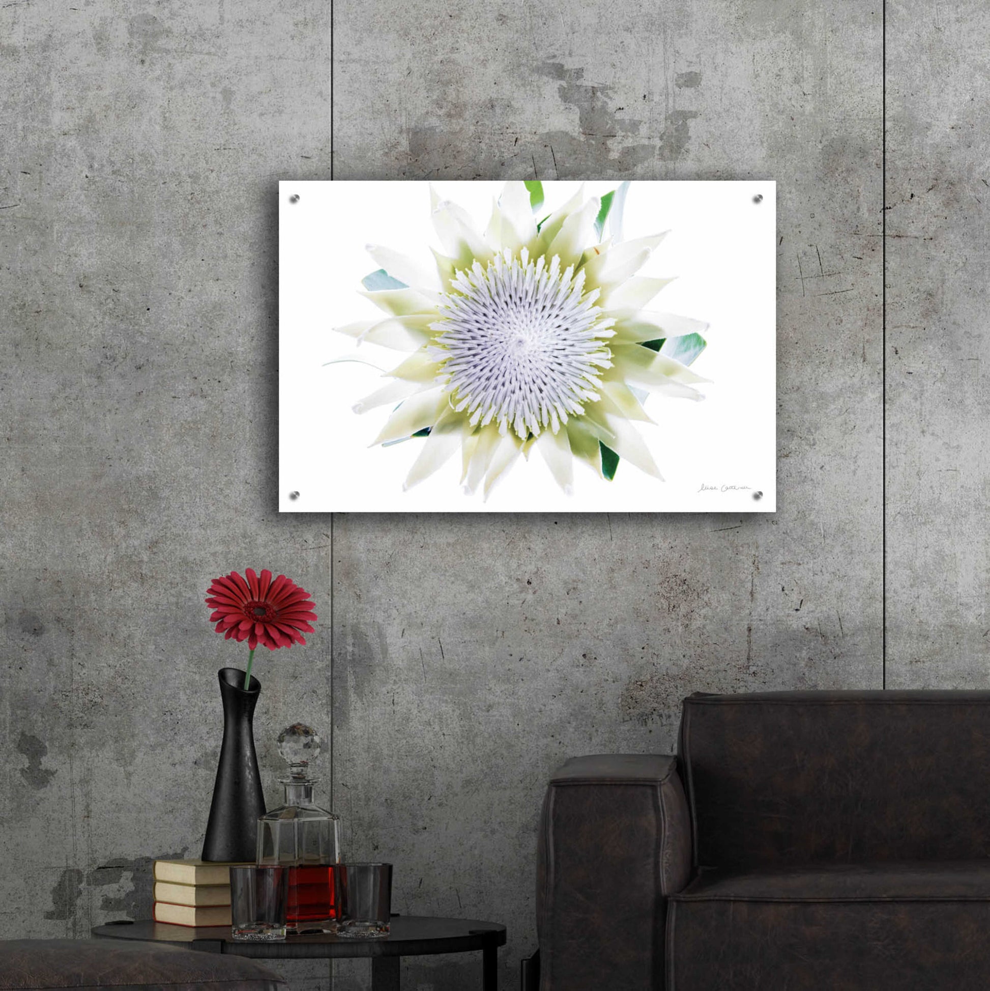 Epic Art 'Protea Center I' by Elise Catterall, Acrylic Glass Wall Art,36x24