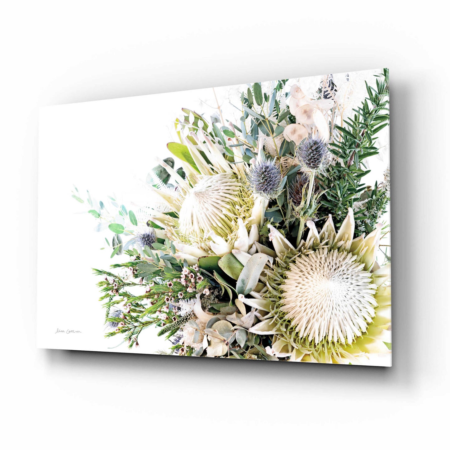 Epic Art 'Protea Bouquet I' by Elise Catterall, Acrylic Glass Wall Art,16x12