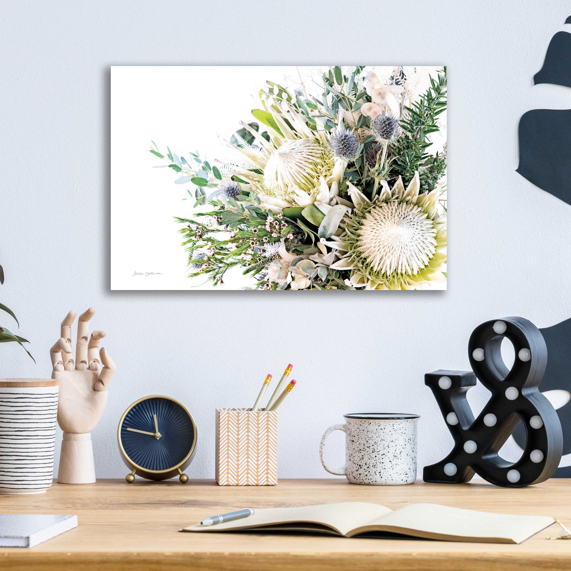 Epic Art 'Protea Bouquet I' by Elise Catterall, Acrylic Glass Wall Art,16x12