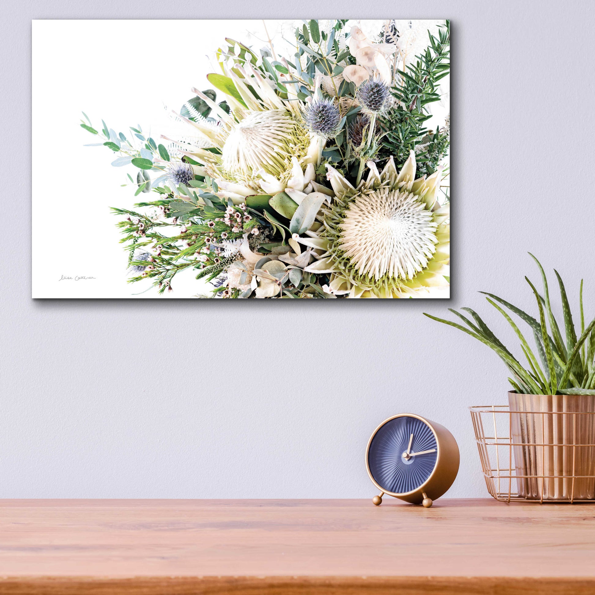 Epic Art 'Protea Bouquet I' by Elise Catterall, Acrylic Glass Wall Art,16x12