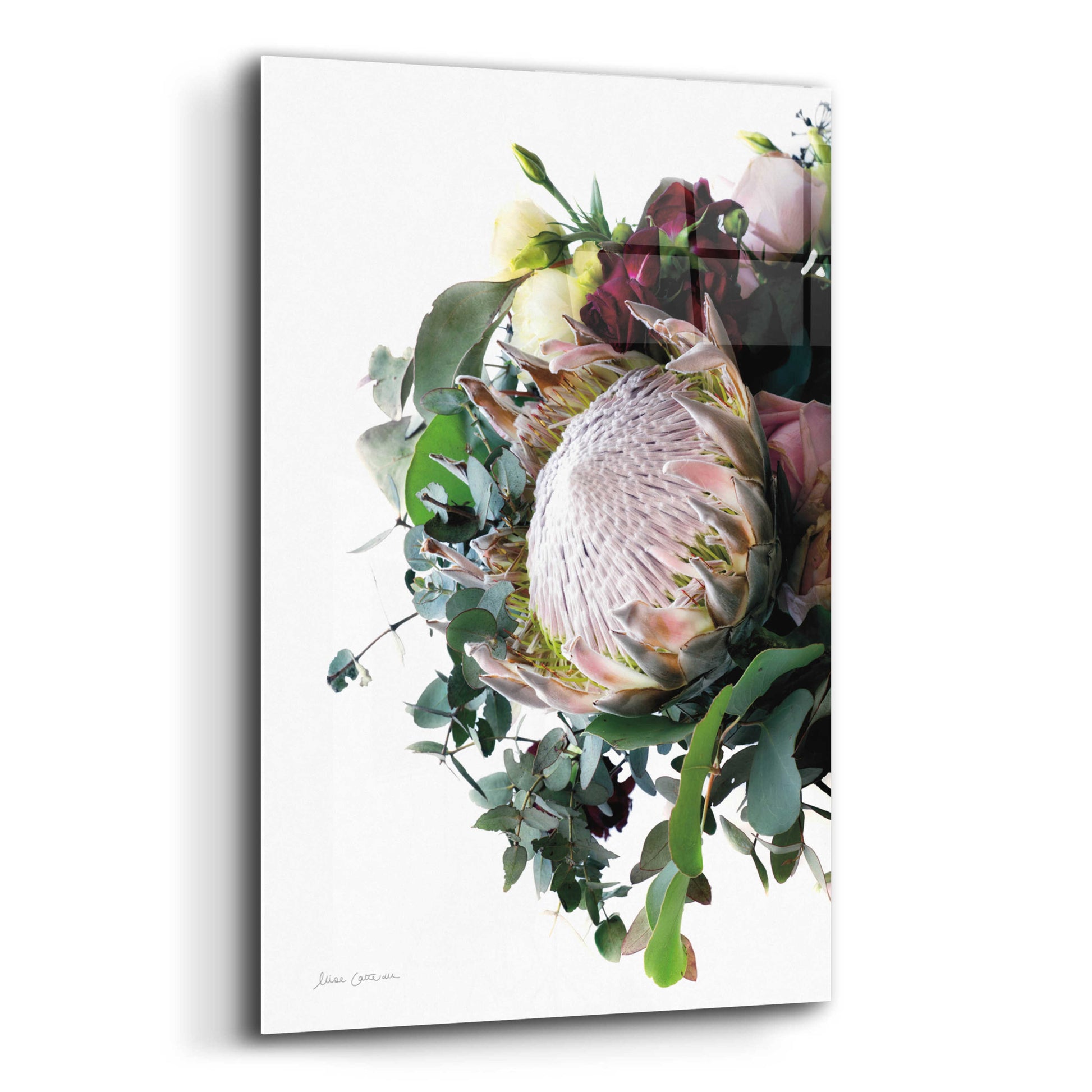 Epic Art 'Protea Bouquet II' by Elise Catterall, Acrylic Glass Wall Art,12x16