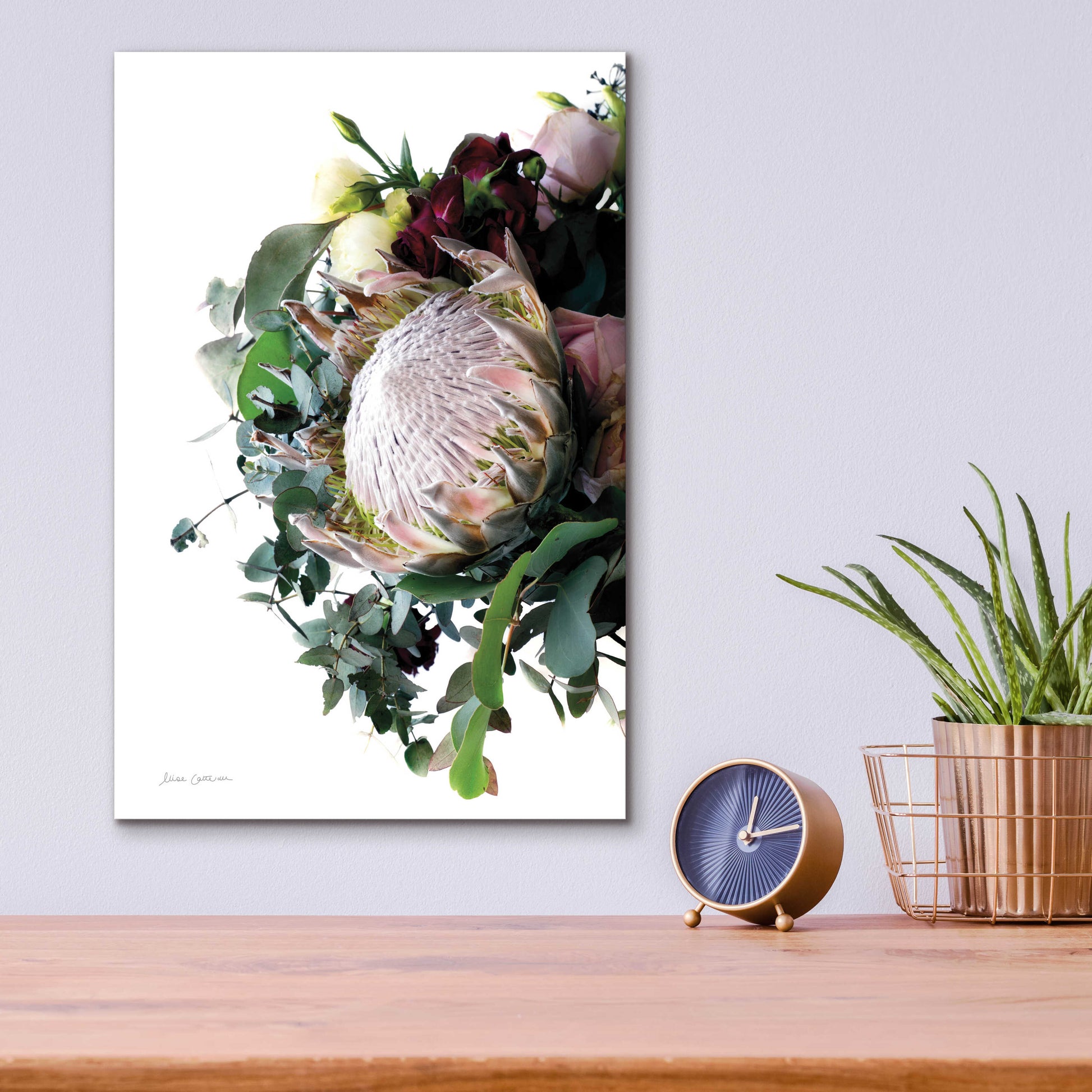 Epic Art 'Protea Bouquet II' by Elise Catterall, Acrylic Glass Wall Art,12x16