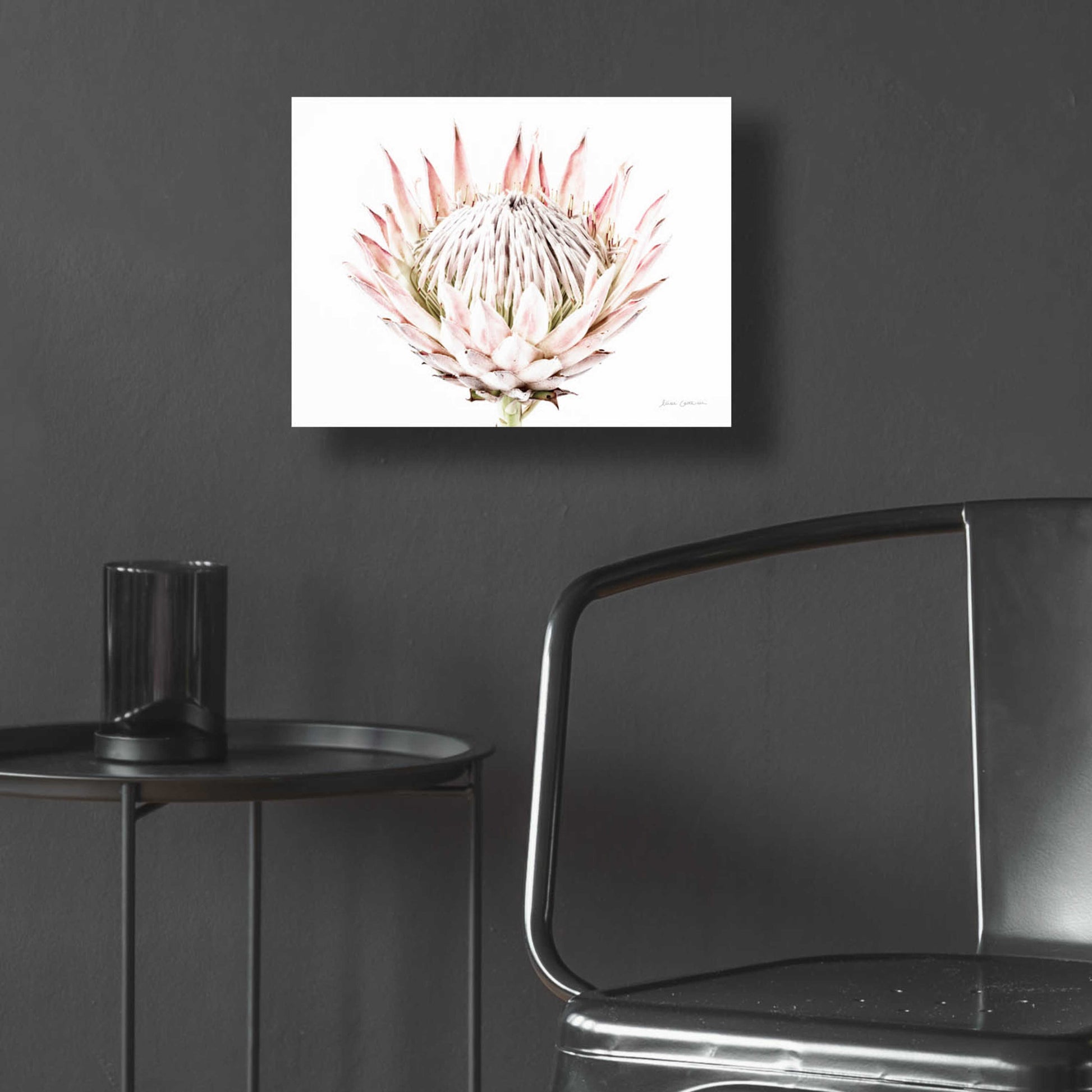 Epic Art 'Pastel Protea I' by Elise Catterall, Acrylic Glass Wall Art,16x12