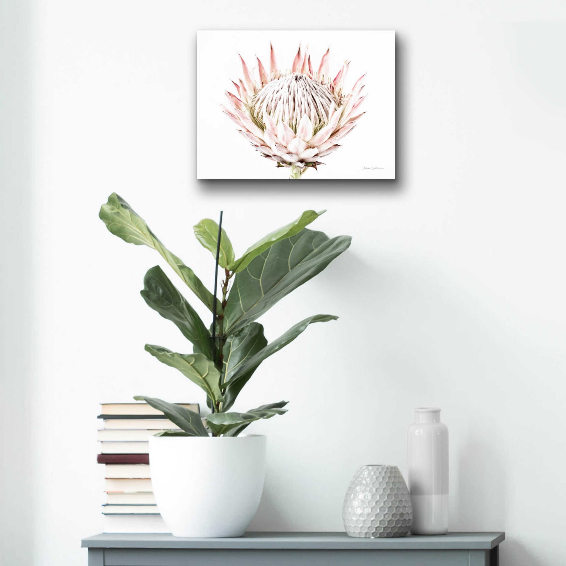 Epic Art 'Pastel Protea I' by Elise Catterall, Acrylic Glass Wall Art,16x12