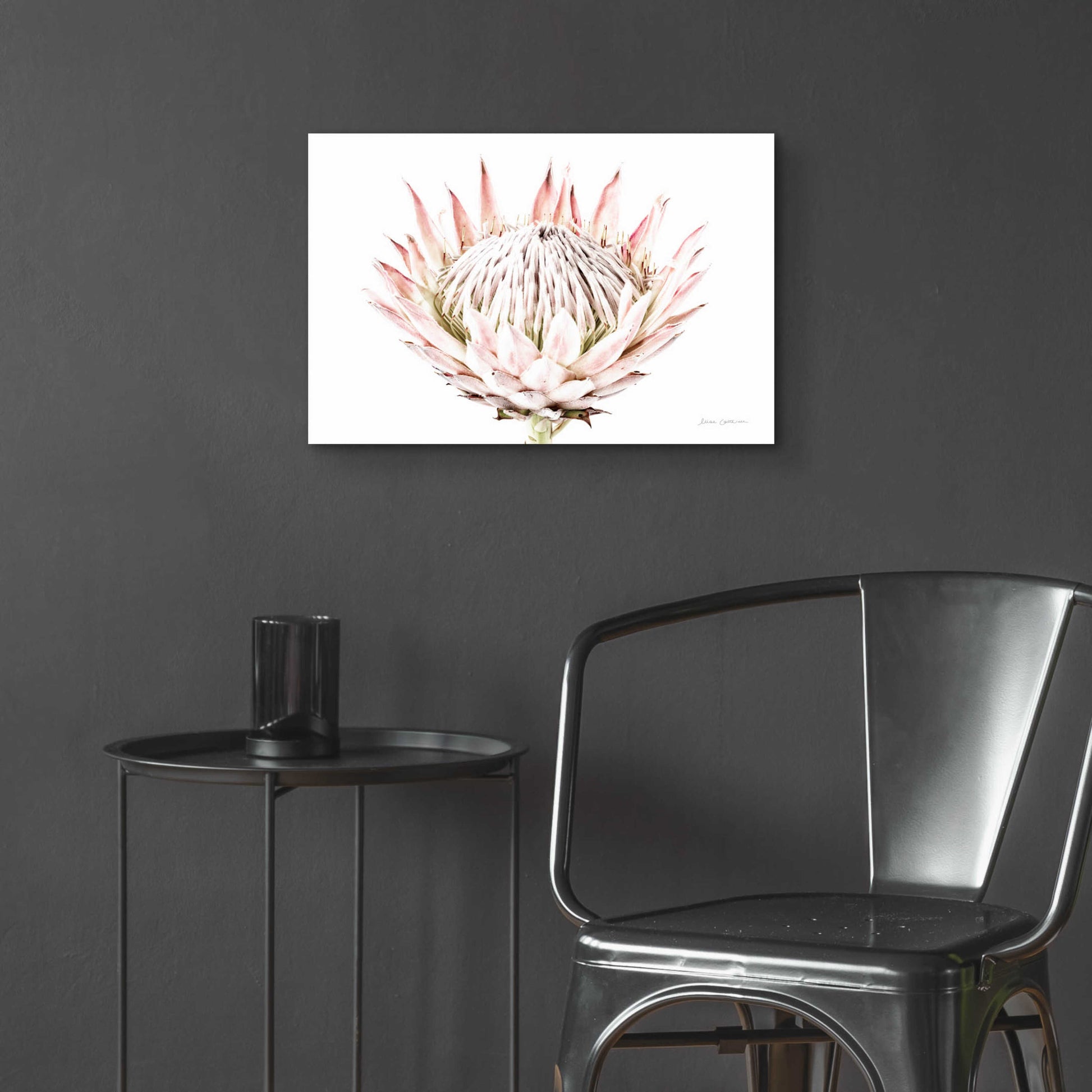 Epic Art 'Pastel Protea I' by Elise Catterall, Acrylic Glass Wall Art,24x16