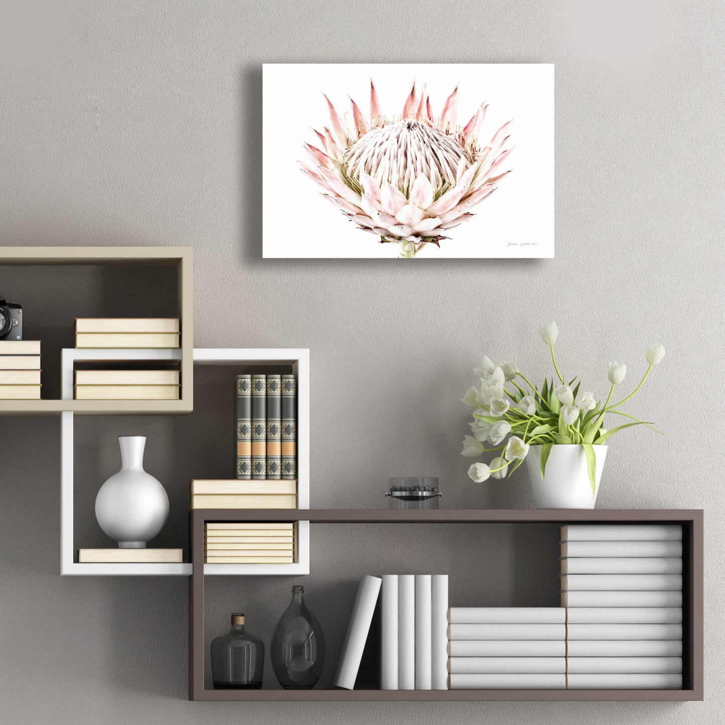 Epic Art 'Pastel Protea I' by Elise Catterall, Acrylic Glass Wall Art,24x16