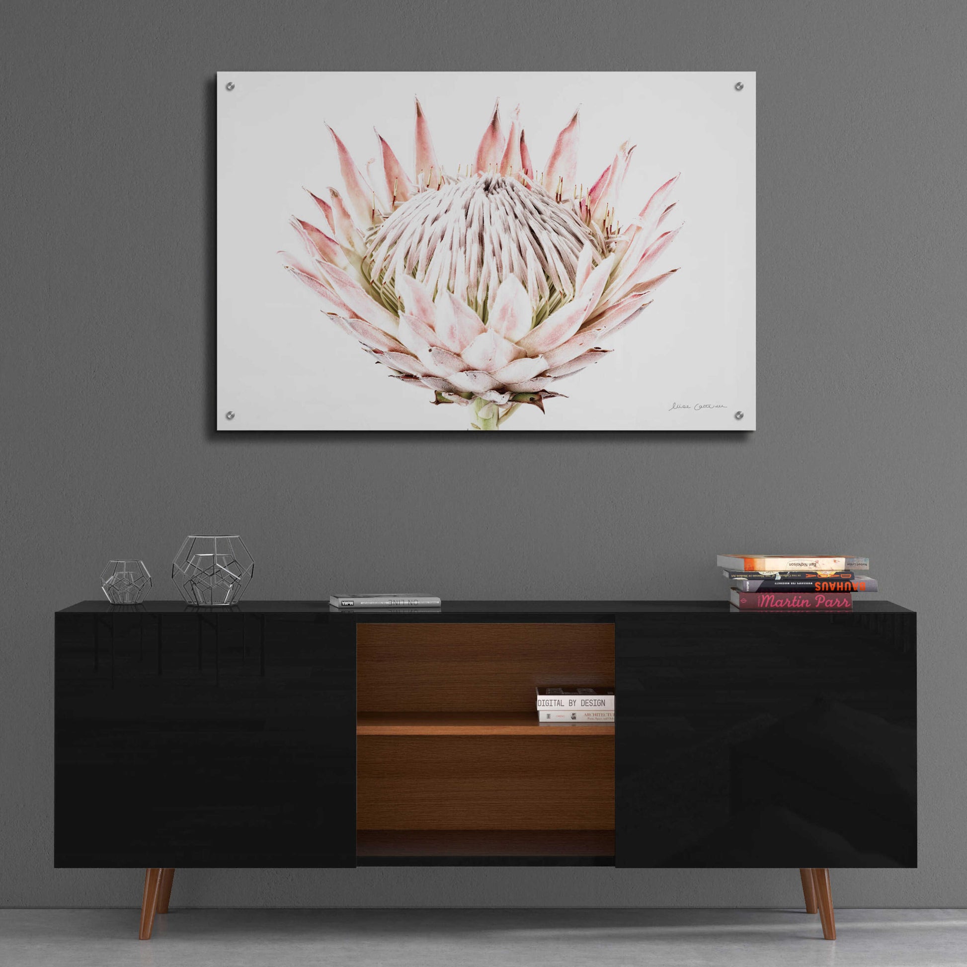 Epic Art 'Pastel Protea I' by Elise Catterall, Acrylic Glass Wall Art,36x24