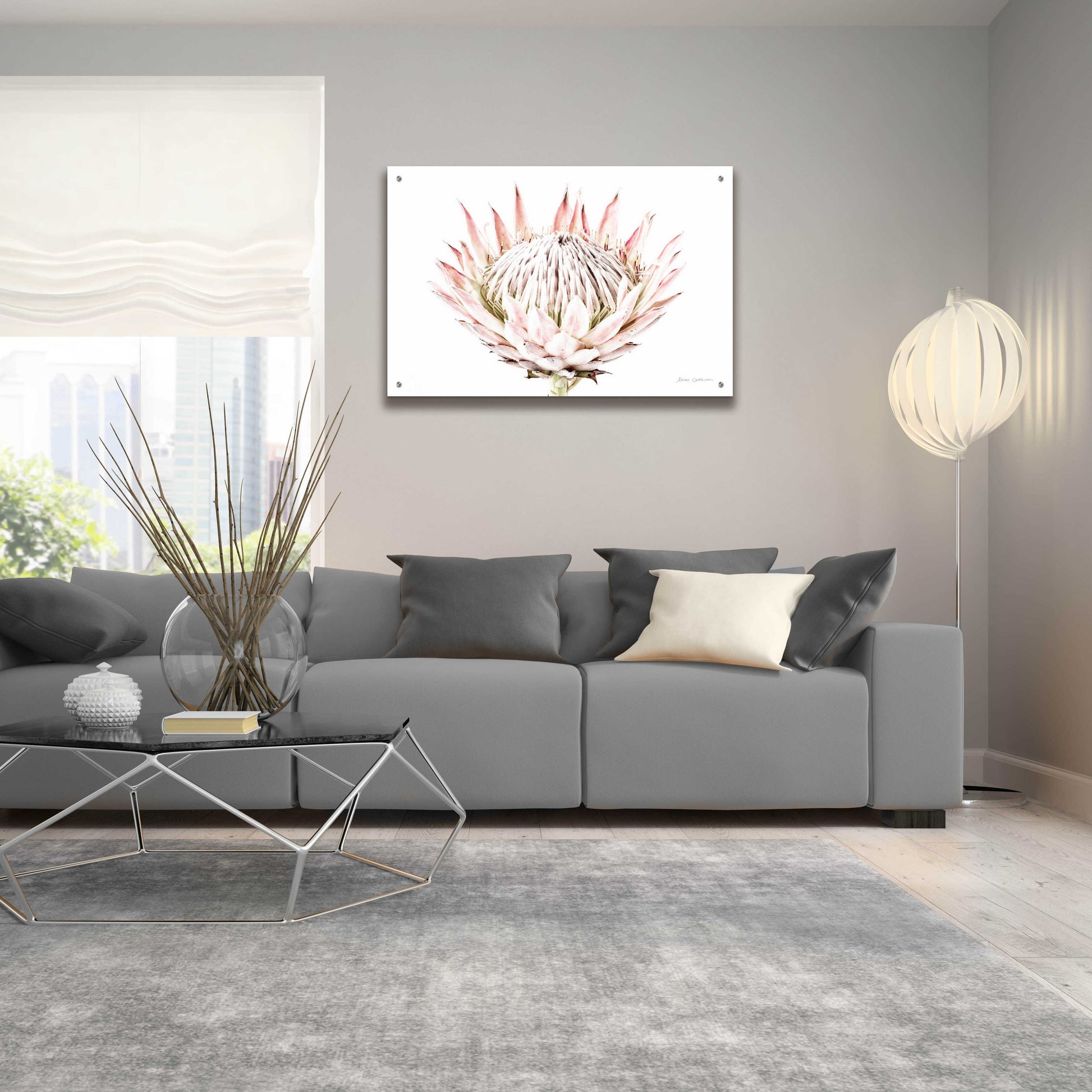 Epic Art 'Pastel Protea I' by Elise Catterall, Acrylic Glass Wall Art,36x24