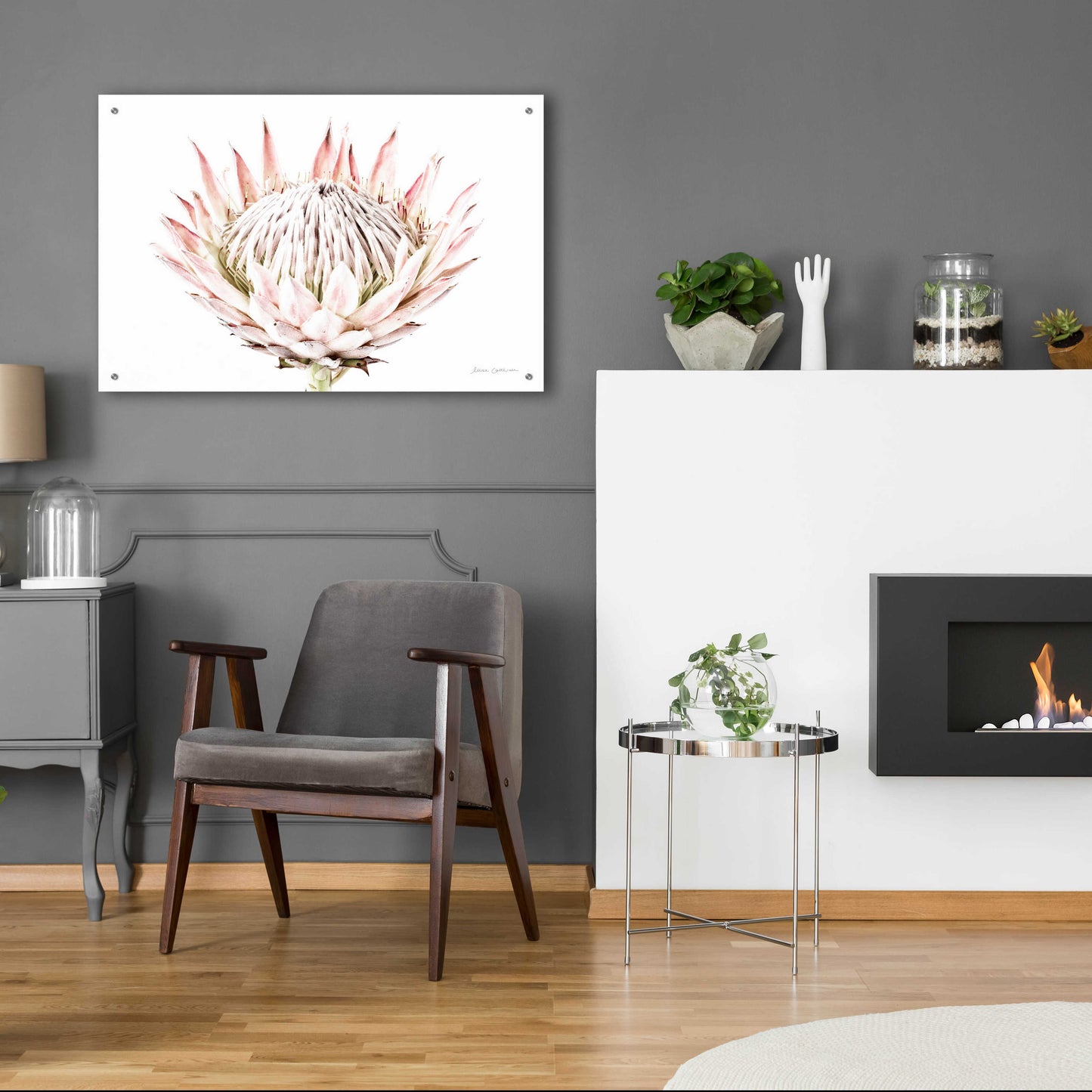 Epic Art 'Pastel Protea I' by Elise Catterall, Acrylic Glass Wall Art,36x24