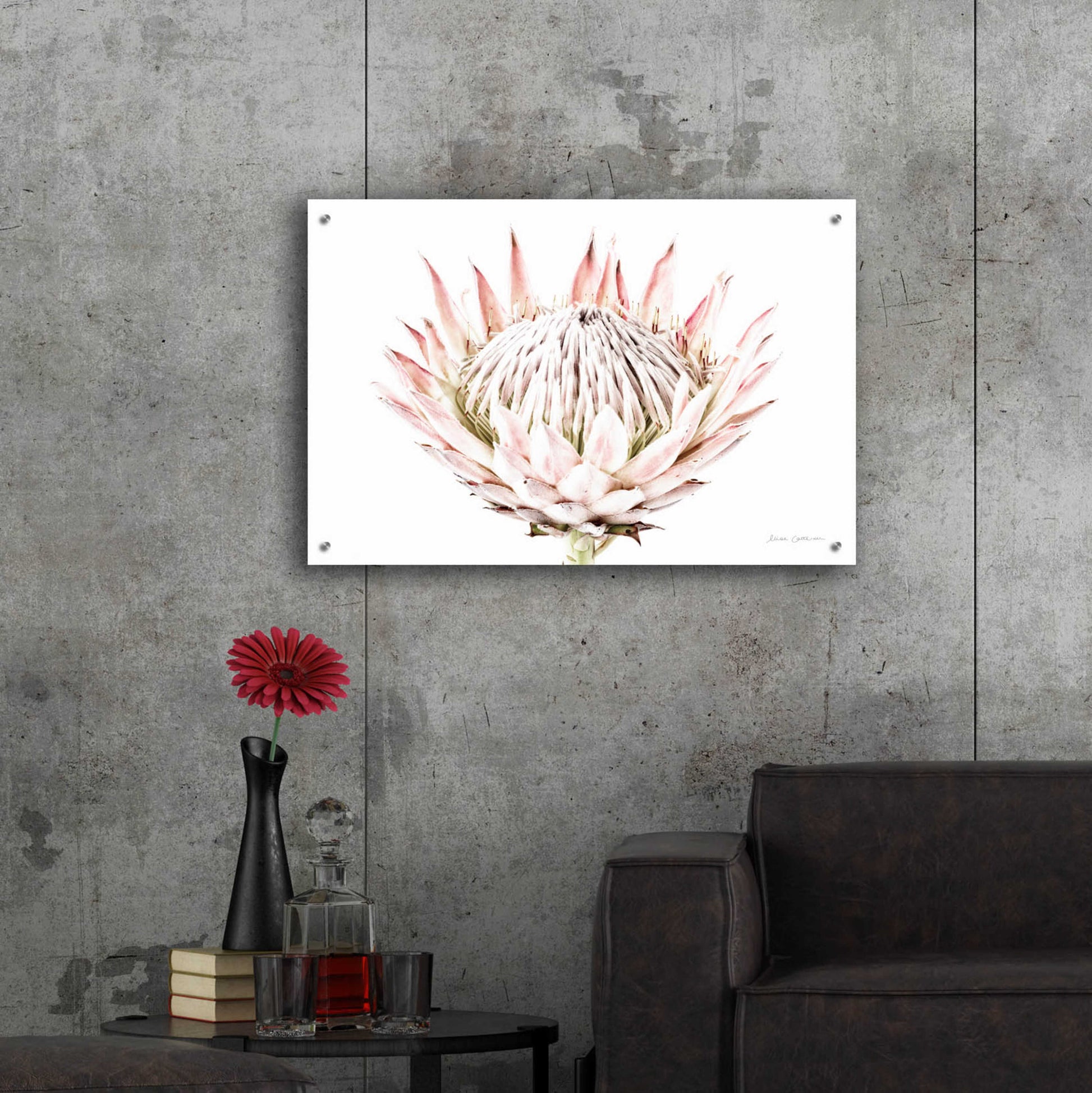 Epic Art 'Pastel Protea I' by Elise Catterall, Acrylic Glass Wall Art,36x24