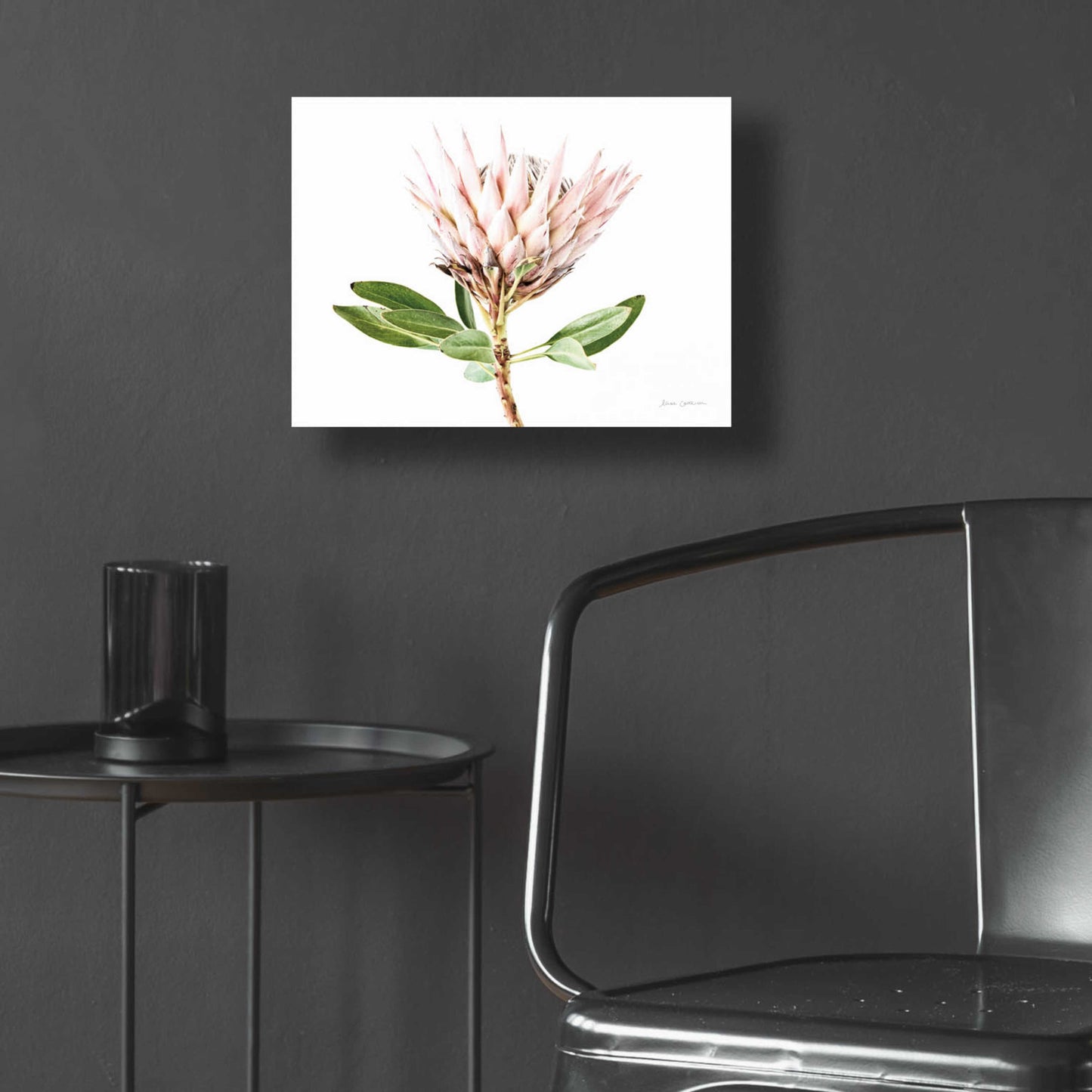 Epic Art 'Pastel Protea II' by Elise Catterall, Acrylic Glass Wall Art,16x12