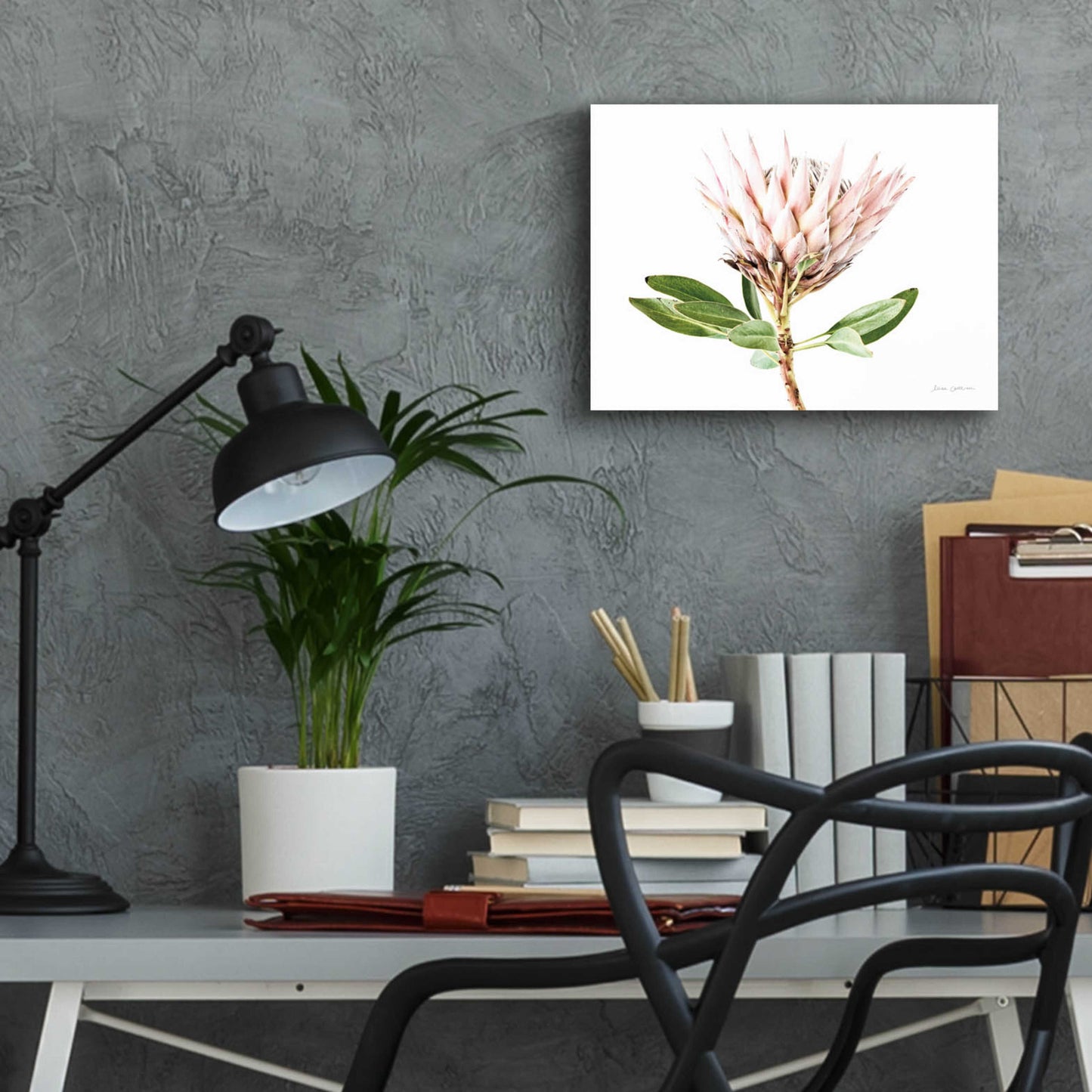 Epic Art 'Pastel Protea II' by Elise Catterall, Acrylic Glass Wall Art,16x12