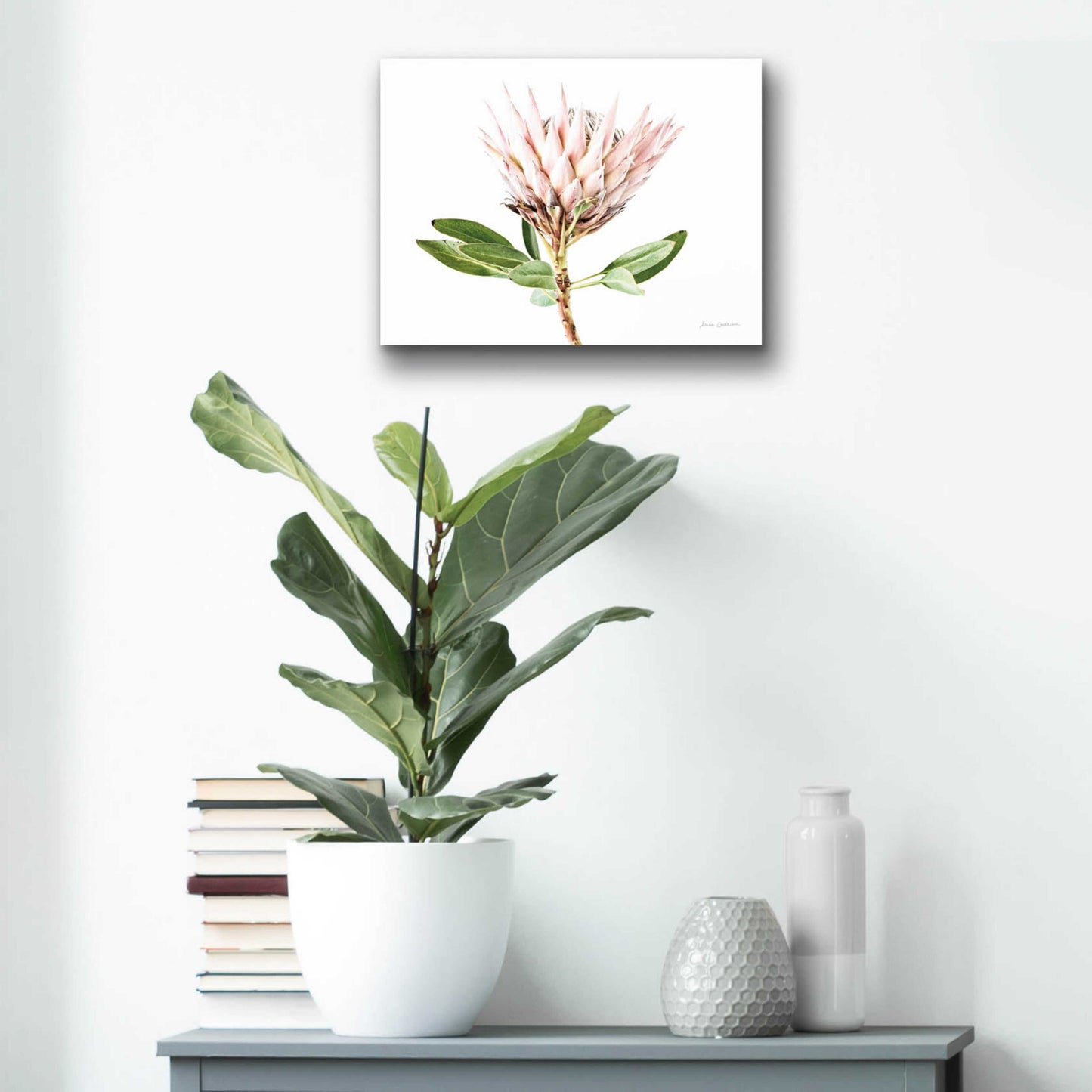 Epic Art 'Pastel Protea II' by Elise Catterall, Acrylic Glass Wall Art,16x12