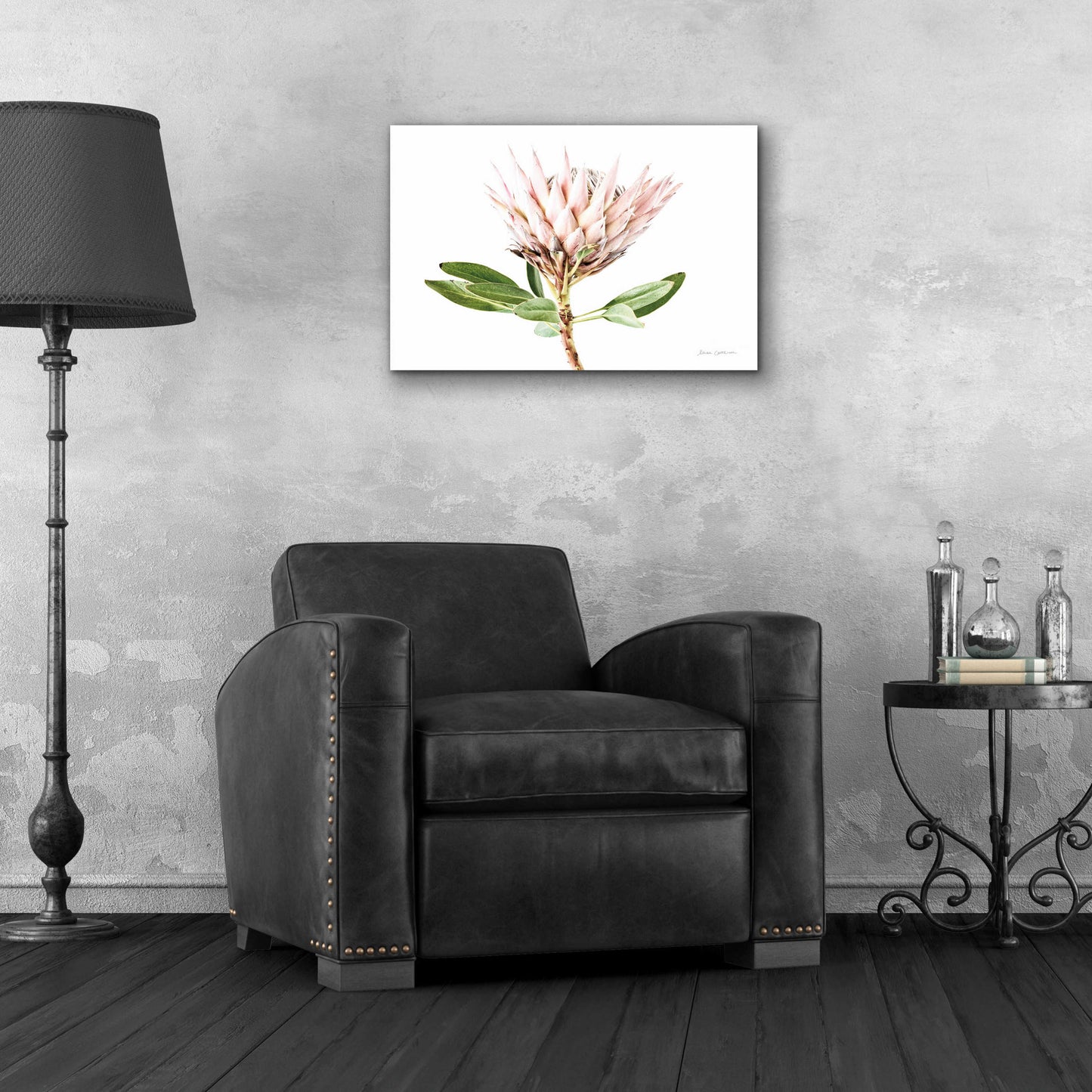 Epic Art 'Pastel Protea II' by Elise Catterall, Acrylic Glass Wall Art,24x16