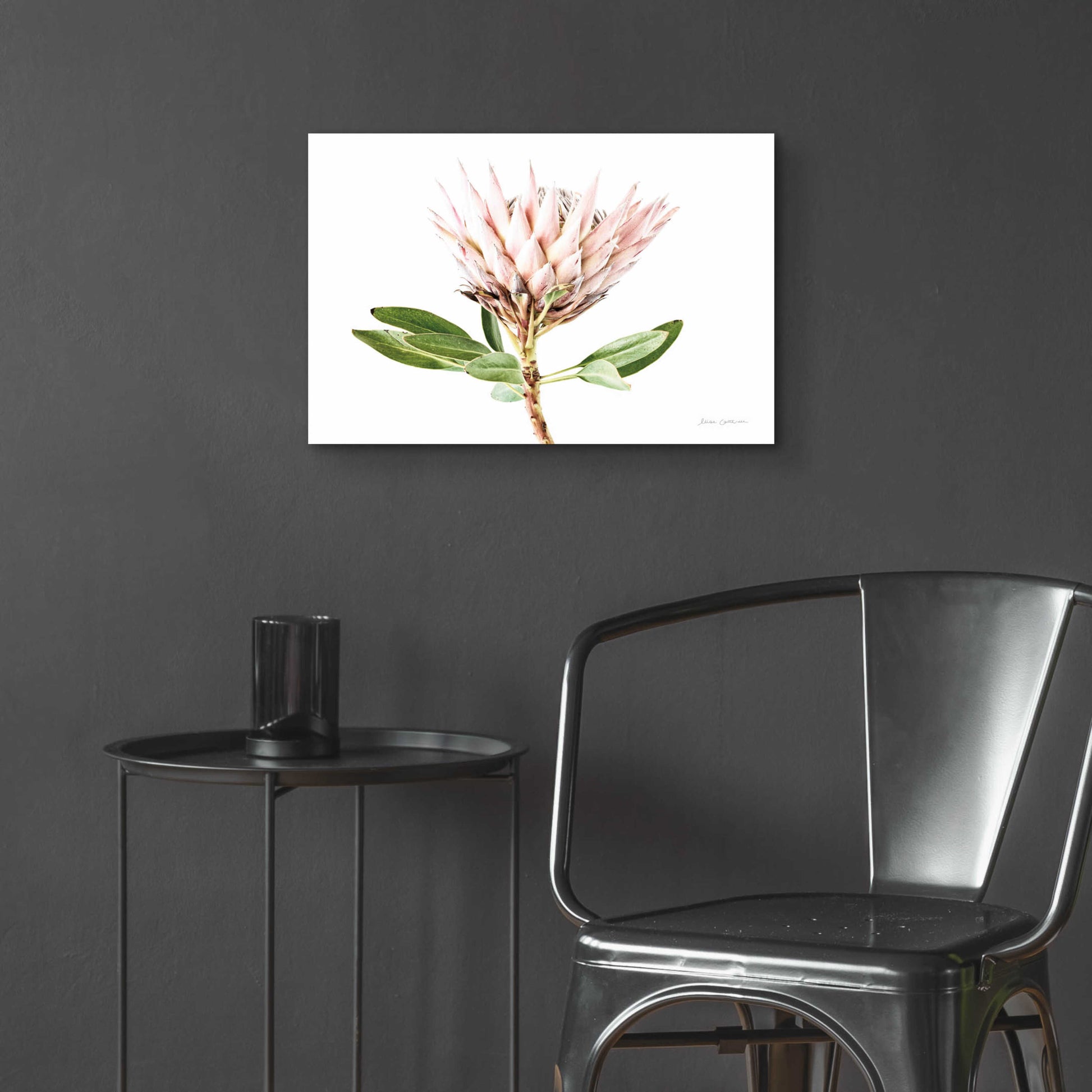 Epic Art 'Pastel Protea II' by Elise Catterall, Acrylic Glass Wall Art,24x16