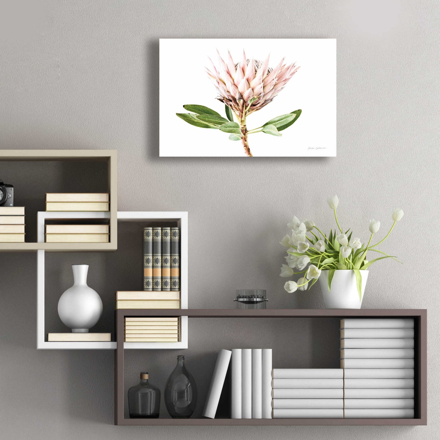 Epic Art 'Pastel Protea II' by Elise Catterall, Acrylic Glass Wall Art,24x16