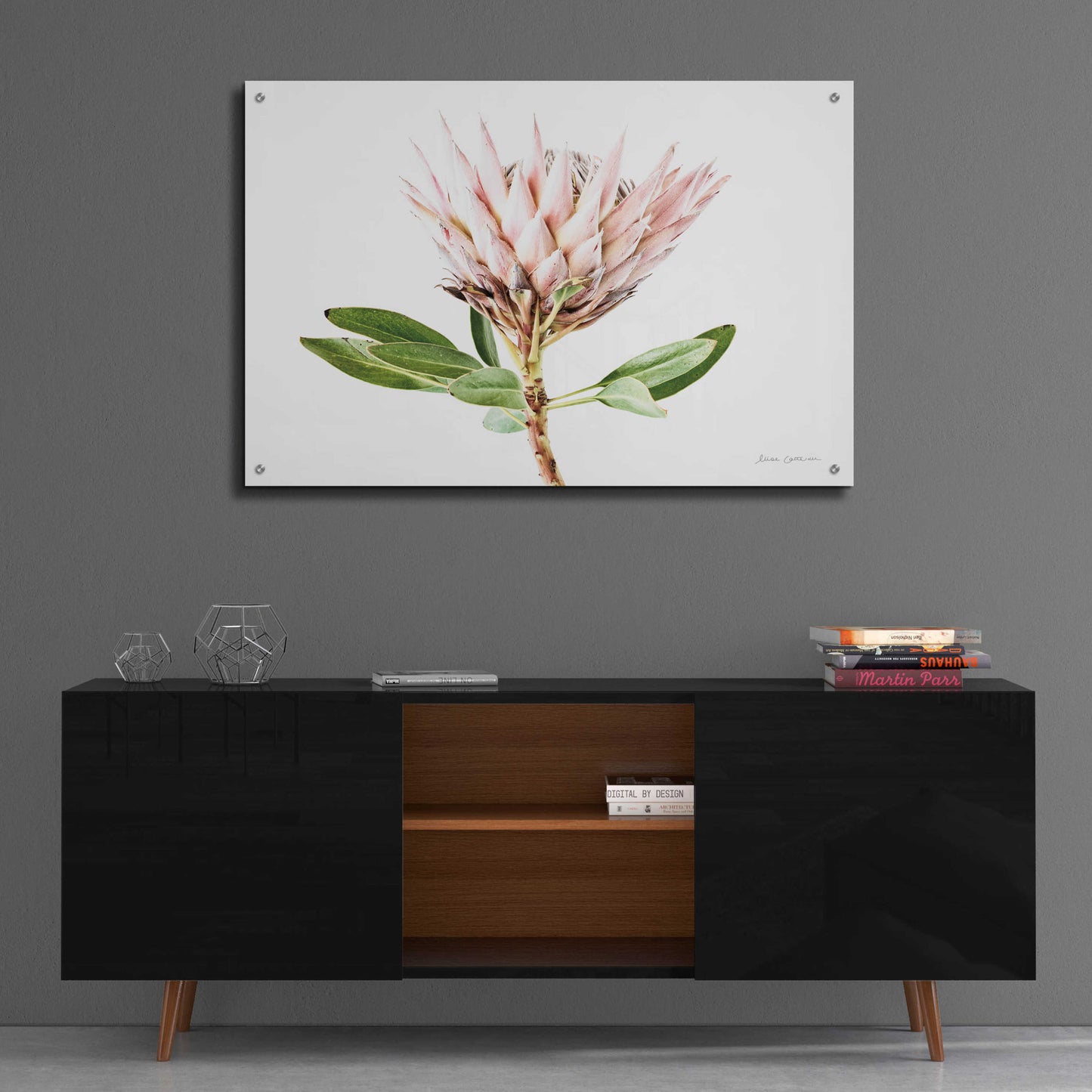 Epic Art 'Pastel Protea II' by Elise Catterall, Acrylic Glass Wall Art,36x24