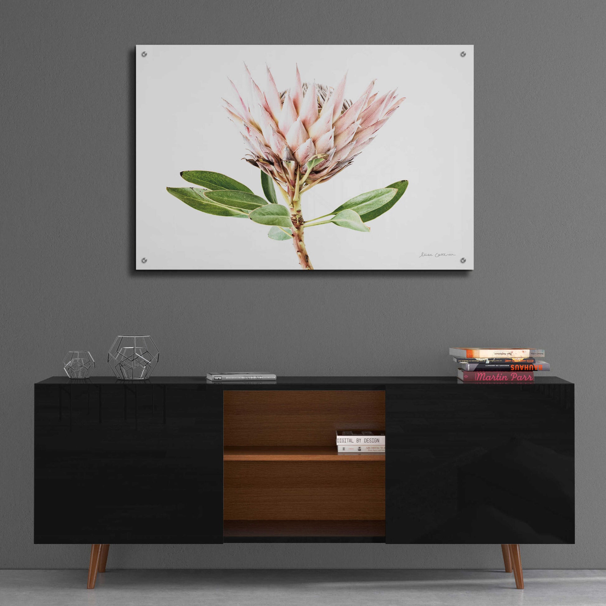 Epic Art 'Pastel Protea II' by Elise Catterall, Acrylic Glass Wall Art,36x24