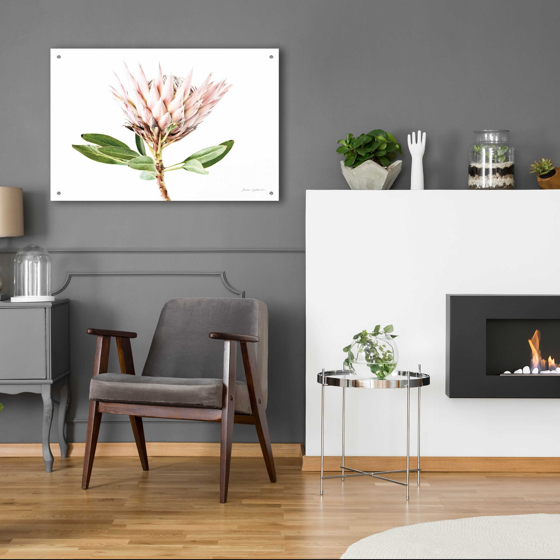 Epic Art 'Pastel Protea II' by Elise Catterall, Acrylic Glass Wall Art,36x24