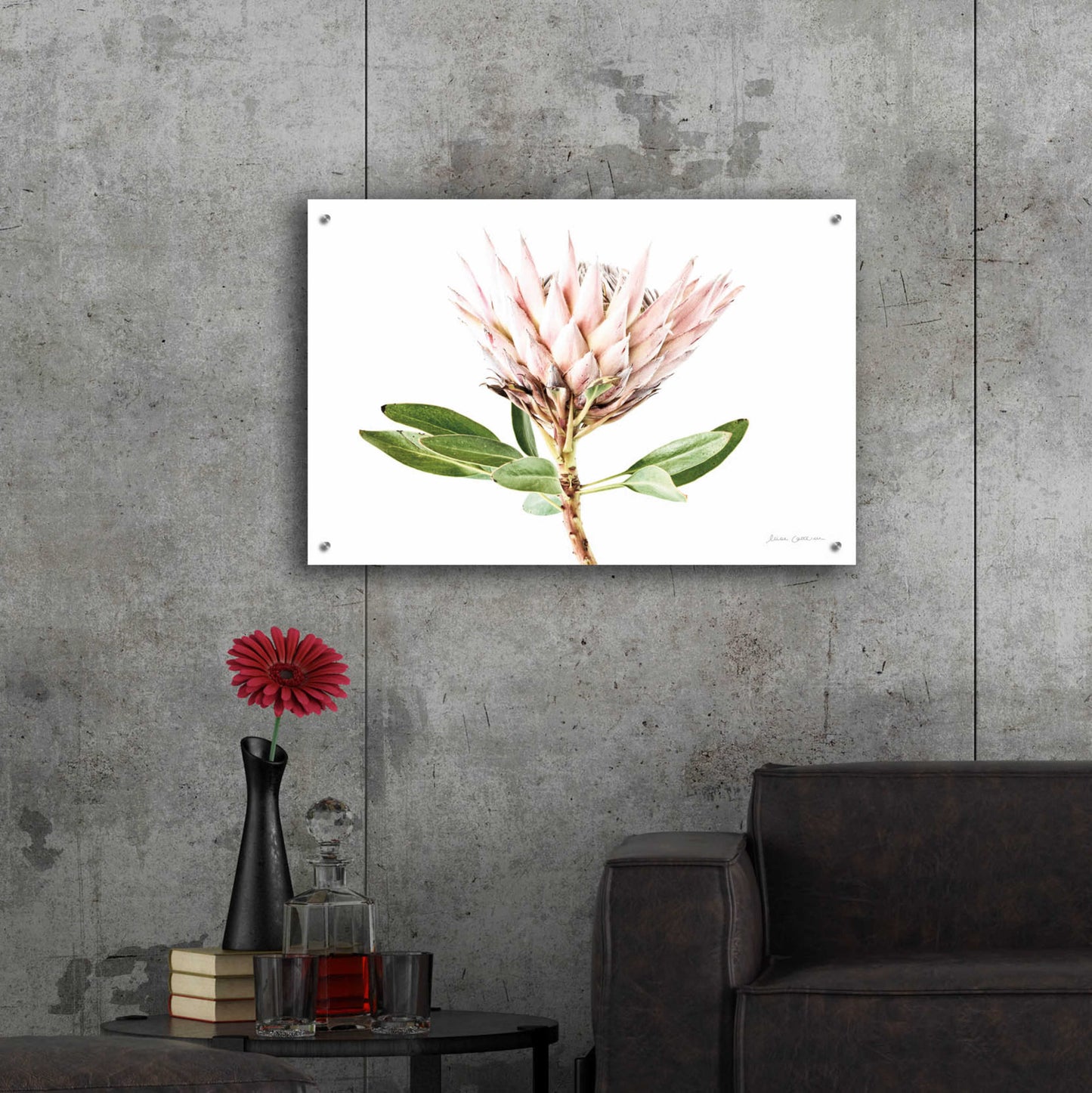 Epic Art 'Pastel Protea II' by Elise Catterall, Acrylic Glass Wall Art,36x24