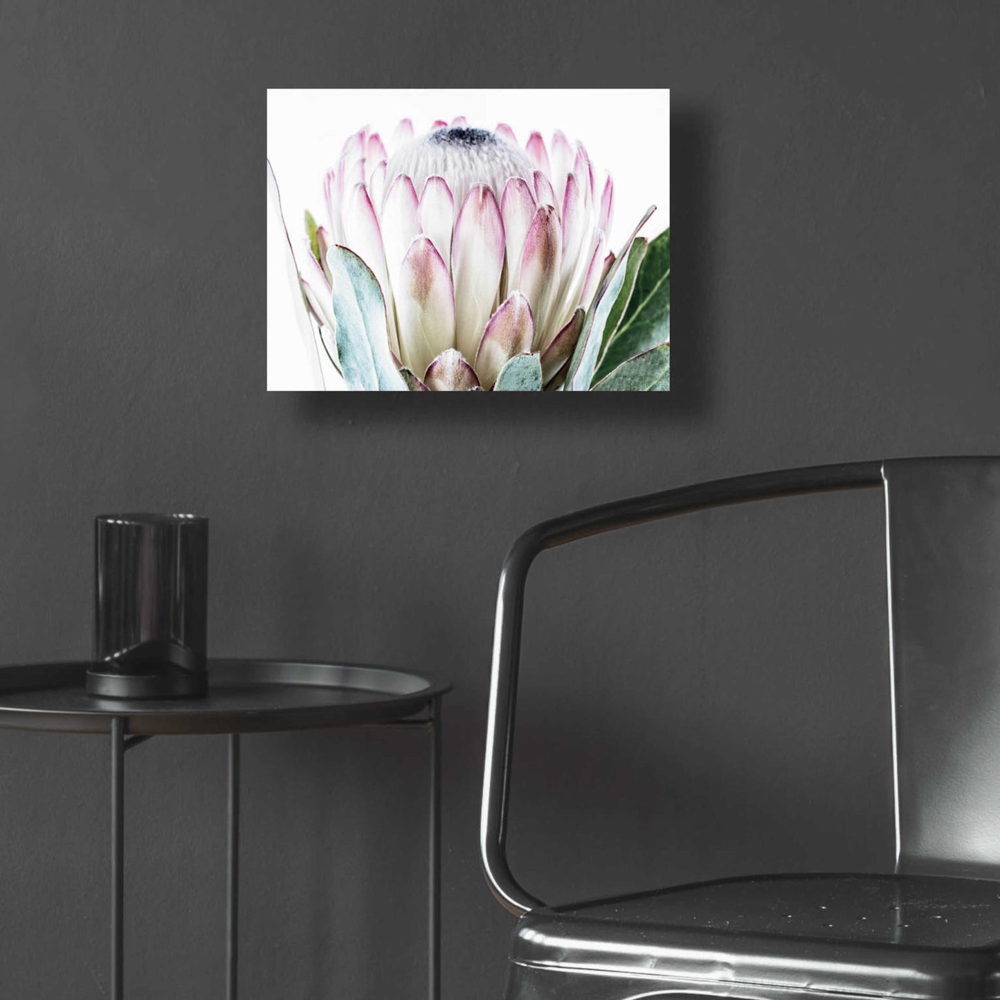 Epic Art 'Pale Protea Detail I' by Elise Catterall, Acrylic Glass Wall Art,16x12