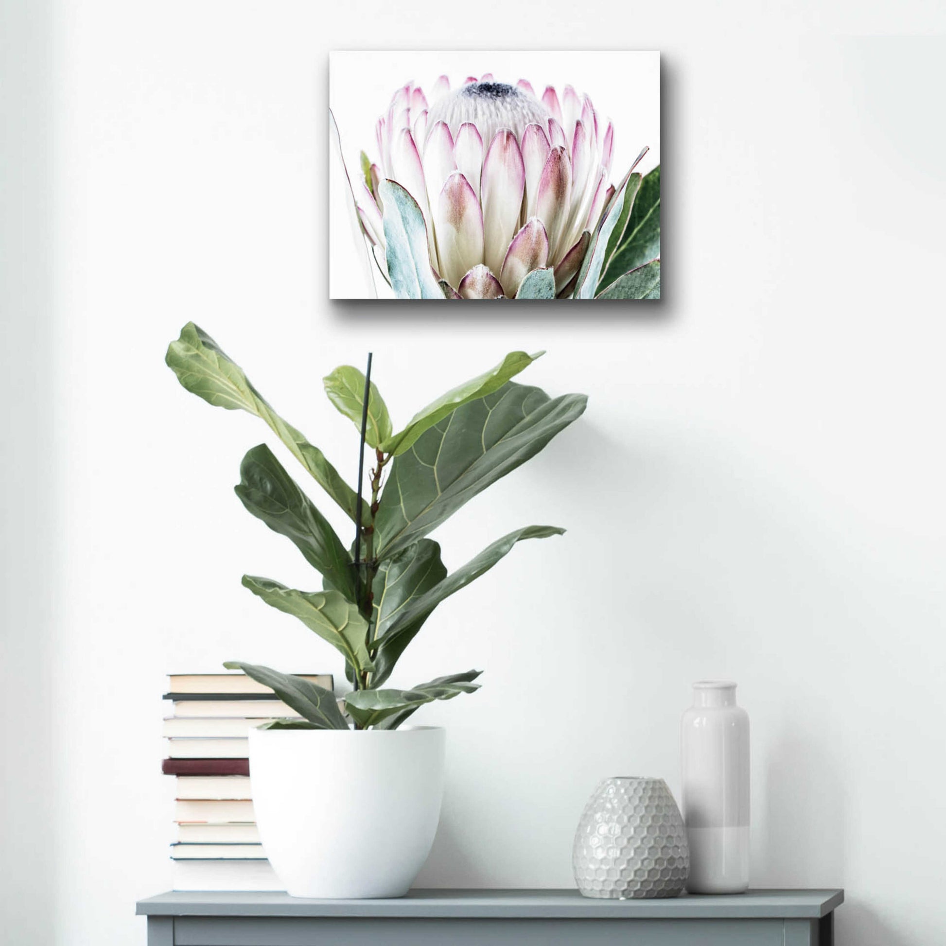 Epic Art 'Pale Protea Detail I' by Elise Catterall, Acrylic Glass Wall Art,16x12