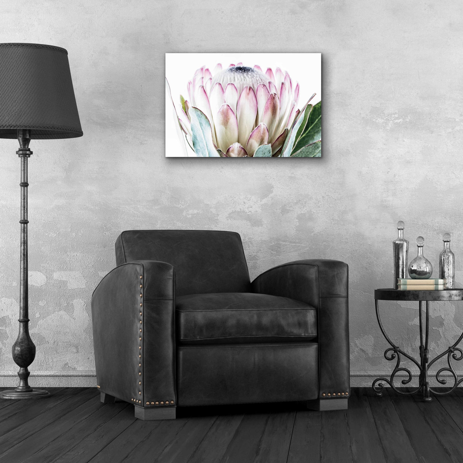 Epic Art 'Pale Protea Detail I' by Elise Catterall, Acrylic Glass Wall Art,24x16