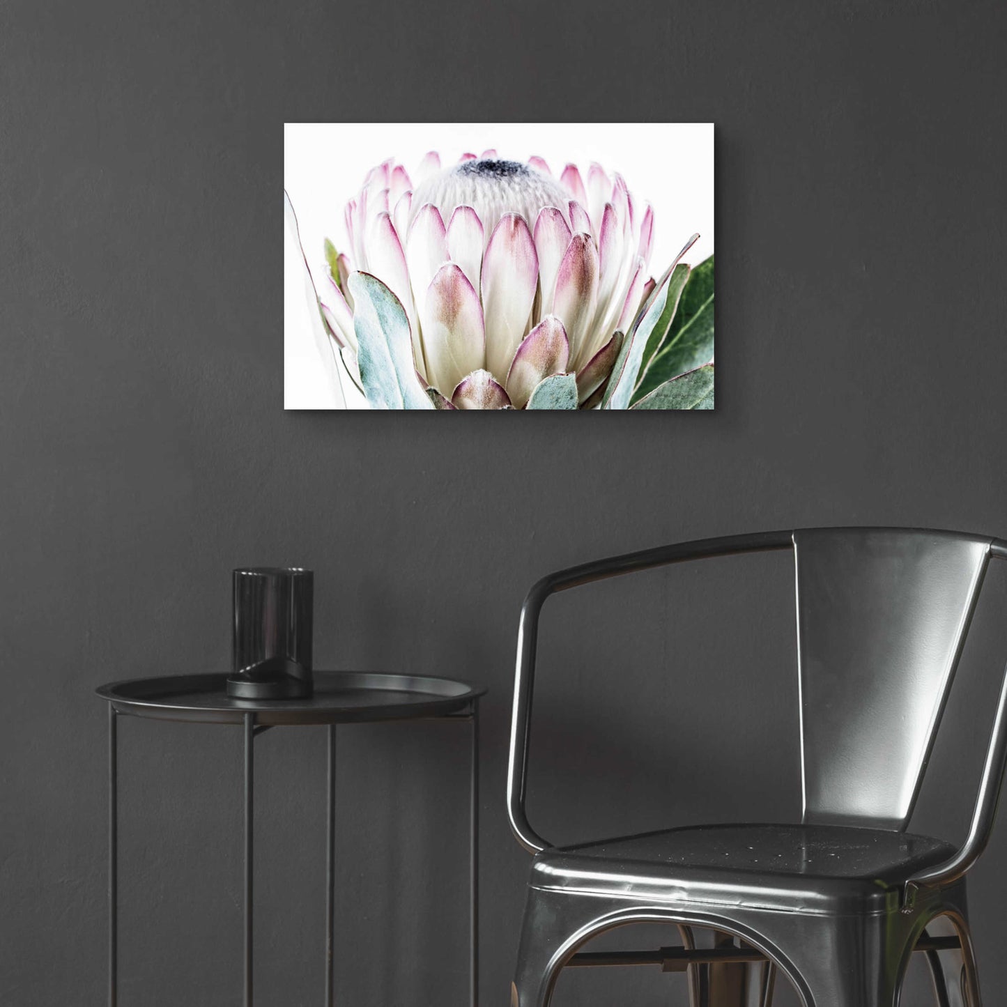 Epic Art 'Pale Protea Detail I' by Elise Catterall, Acrylic Glass Wall Art,24x16