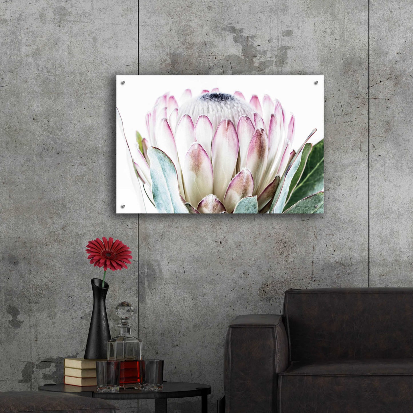 Epic Art 'Pale Protea Detail I' by Elise Catterall, Acrylic Glass Wall Art,36x24