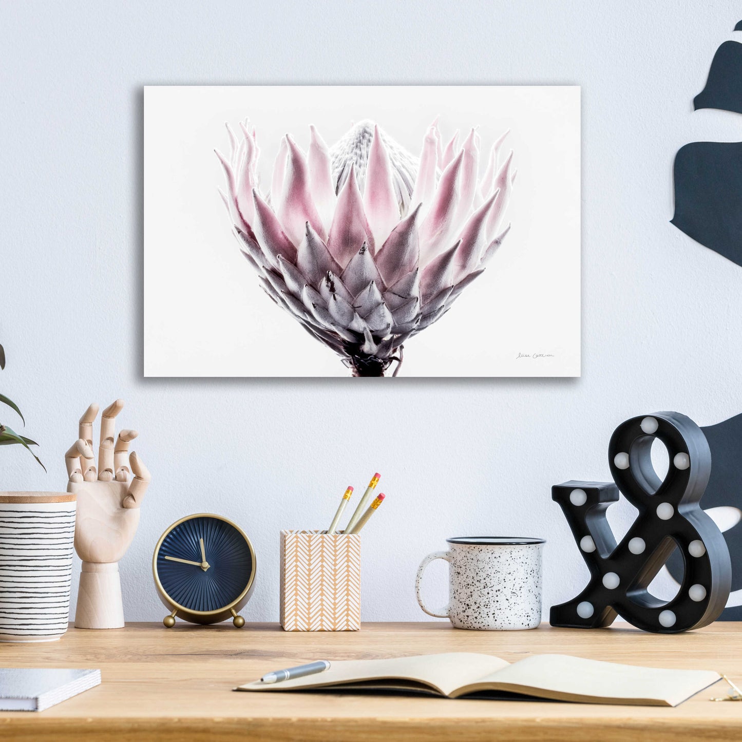 Epic Art 'Pale Protea Detail II' by Elise Catterall, Acrylic Glass Wall Art,16x12