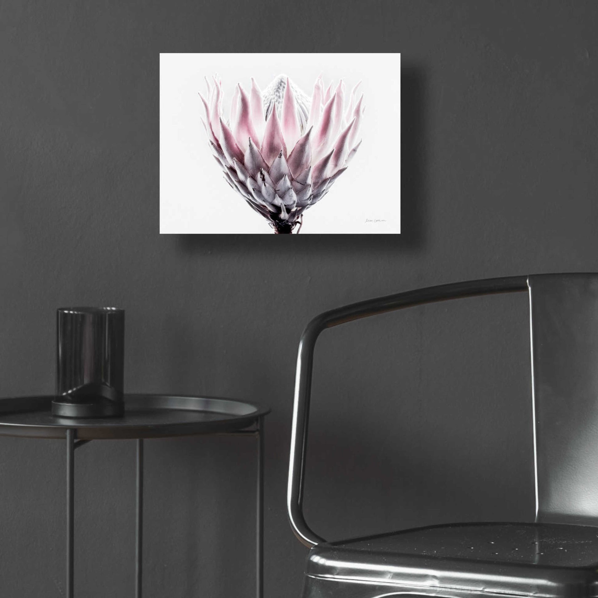 Epic Art 'Pale Protea Detail II' by Elise Catterall, Acrylic Glass Wall Art,16x12