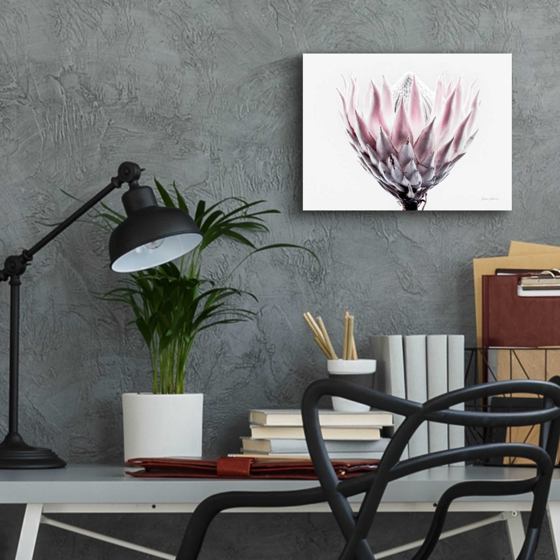 Epic Art 'Pale Protea Detail II' by Elise Catterall, Acrylic Glass Wall Art,16x12