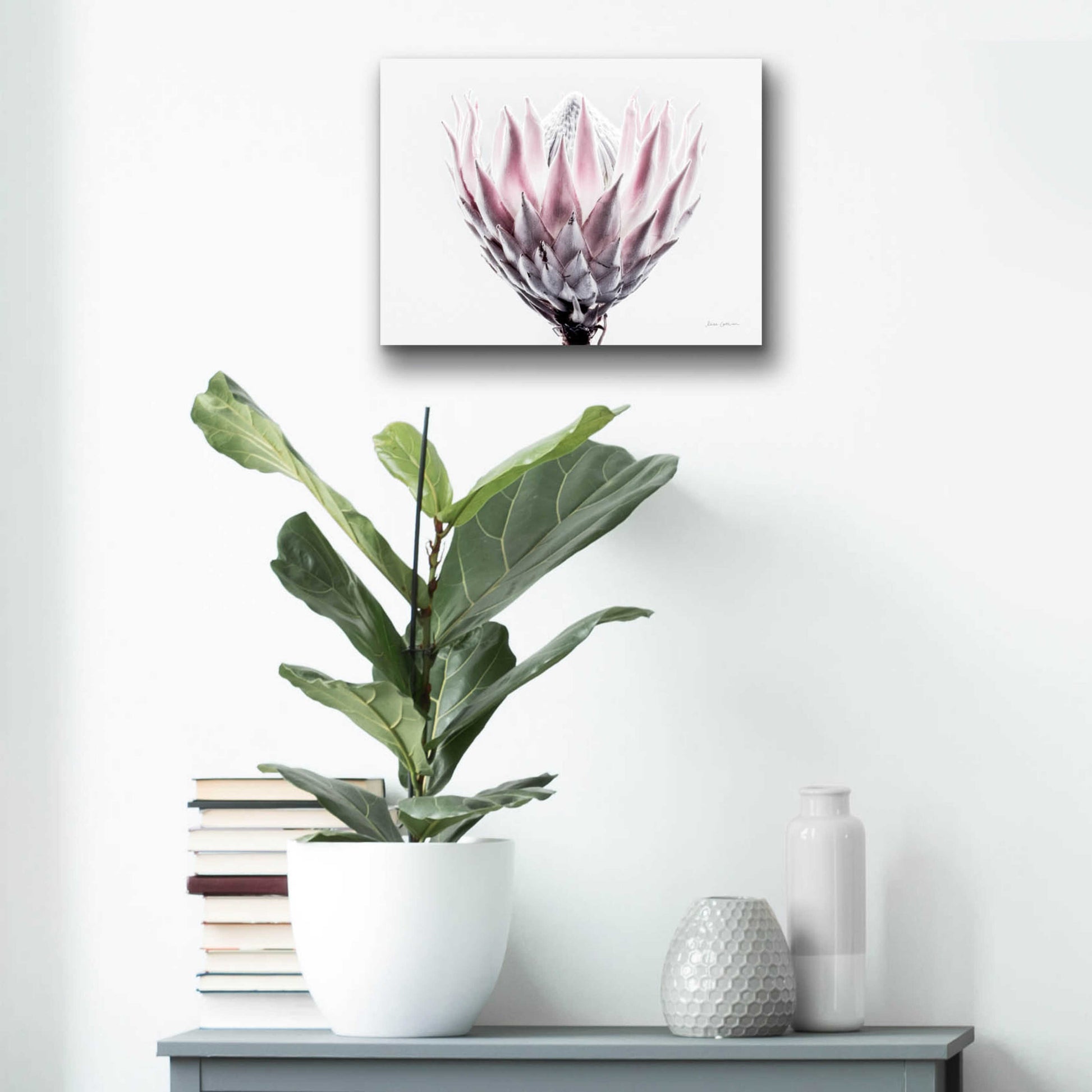 Epic Art 'Pale Protea Detail II' by Elise Catterall, Acrylic Glass Wall Art,16x12