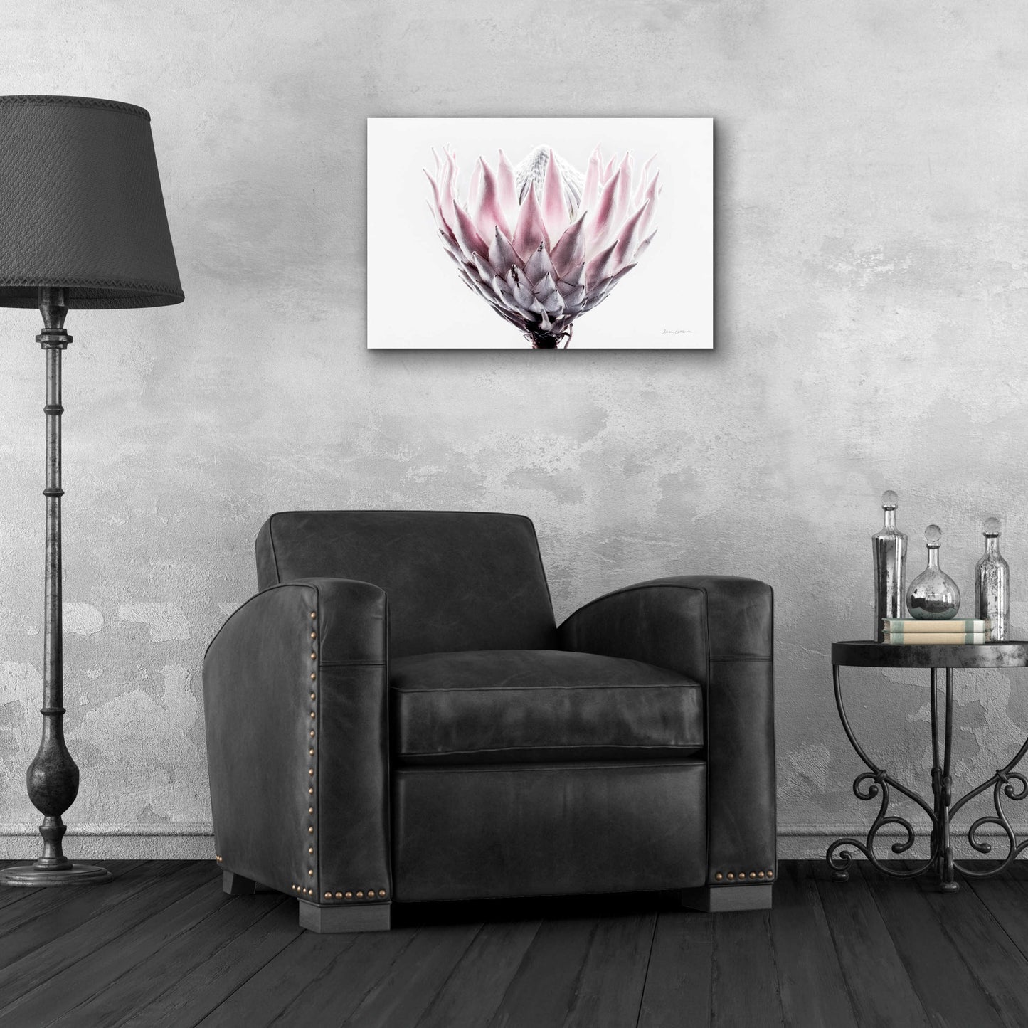 Epic Art 'Pale Protea Detail II' by Elise Catterall, Acrylic Glass Wall Art,24x16