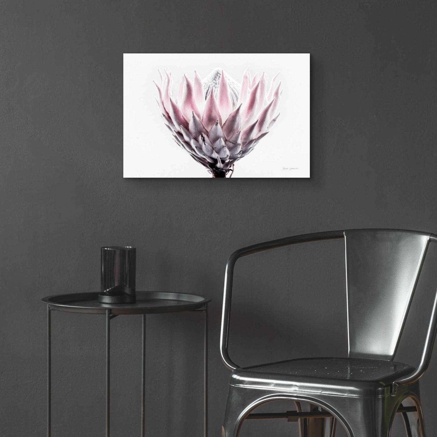 Epic Art 'Pale Protea Detail II' by Elise Catterall, Acrylic Glass Wall Art,24x16