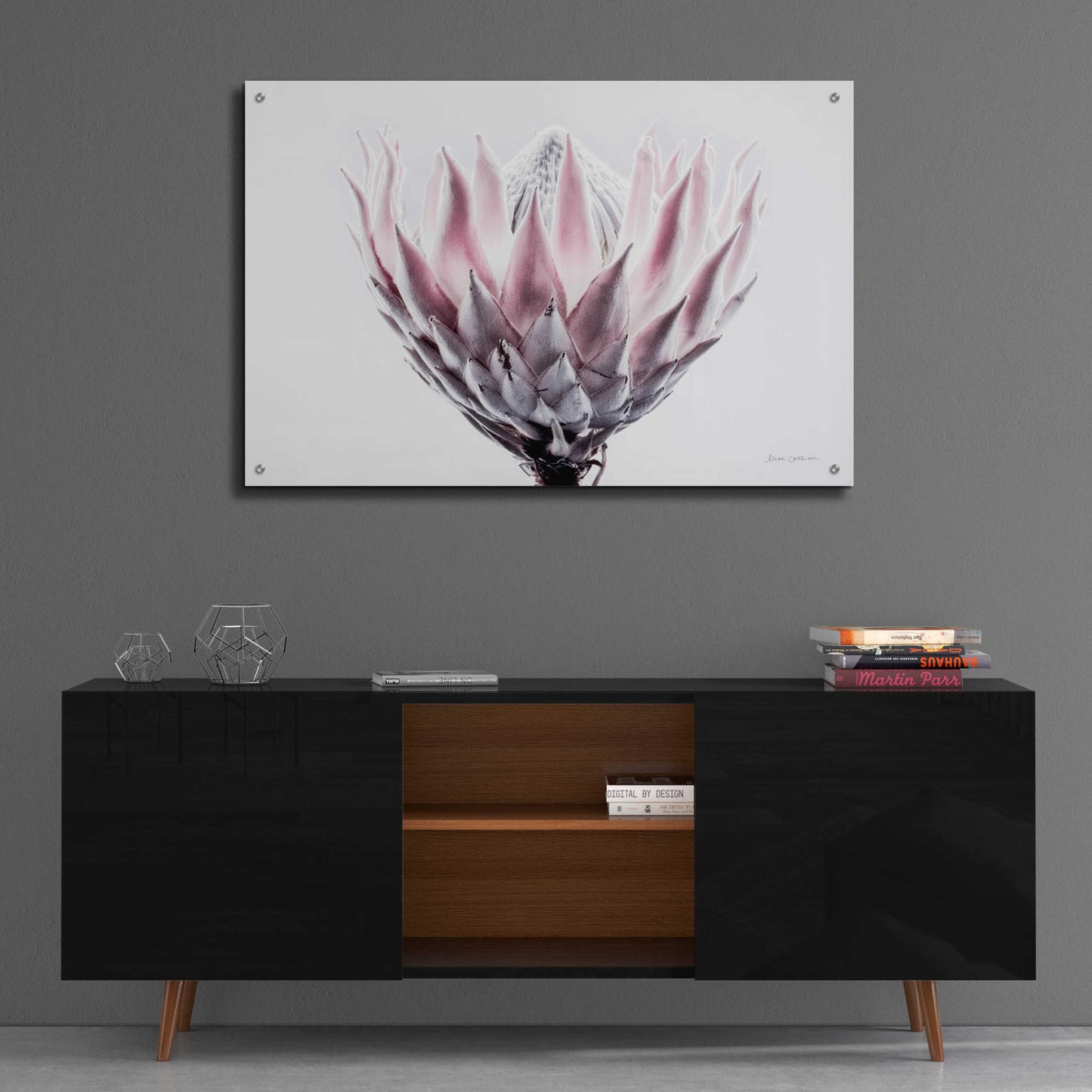 Epic Art 'Pale Protea Detail II' by Elise Catterall, Acrylic Glass Wall Art,36x24