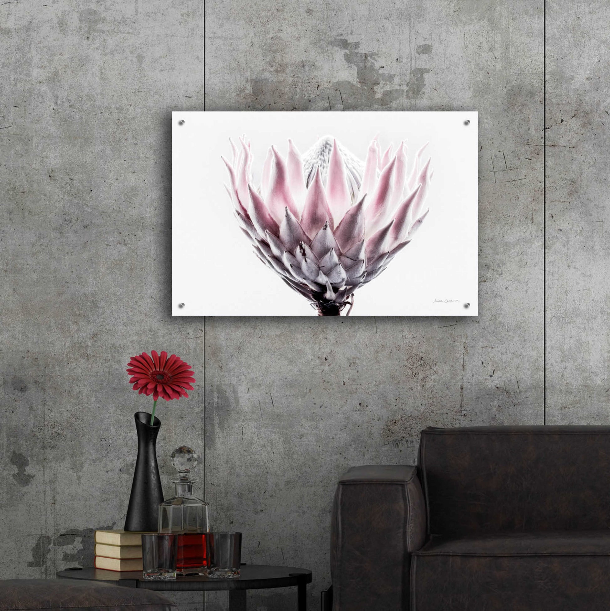 Epic Art 'Pale Protea Detail II' by Elise Catterall, Acrylic Glass Wall Art,36x24