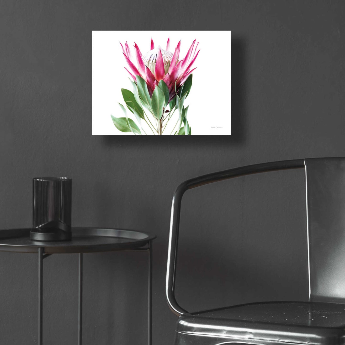 Epic Art 'Bold Protea I' by Elise Catterall, Acrylic Glass Wall Art,16x12