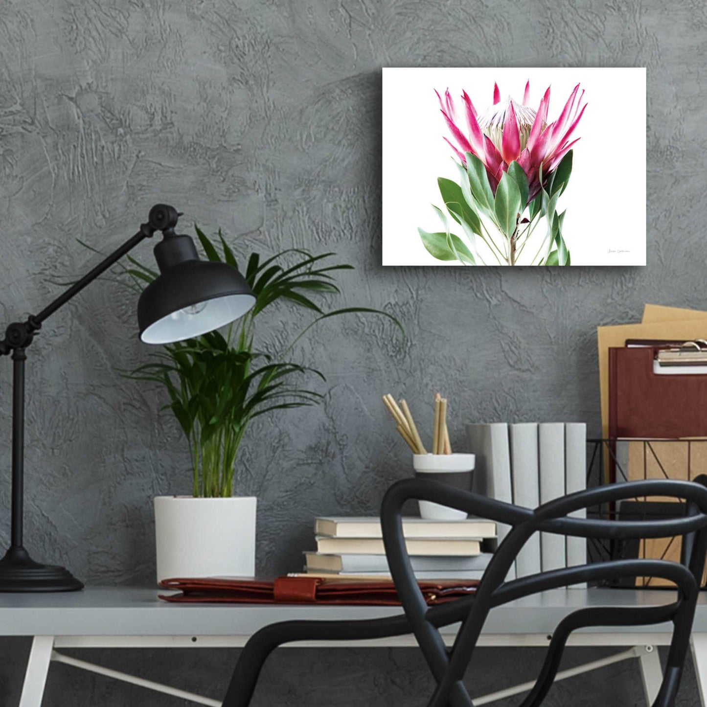 Epic Art 'Bold Protea I' by Elise Catterall, Acrylic Glass Wall Art,16x12