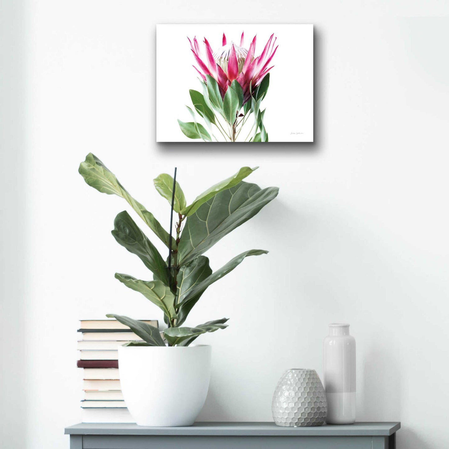 Epic Art 'Bold Protea I' by Elise Catterall, Acrylic Glass Wall Art,16x12